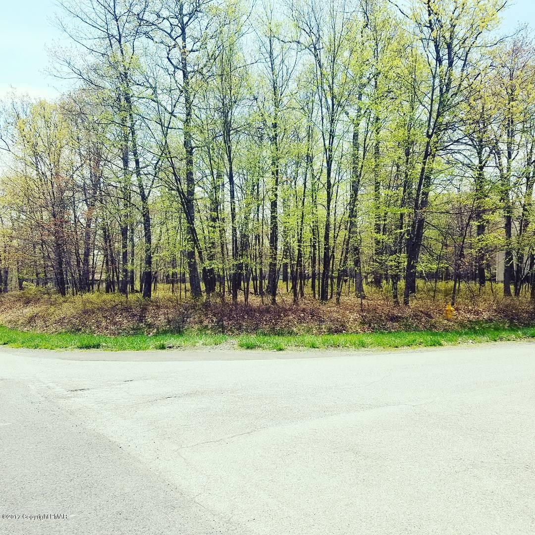 Lot 50 Bindale Road Tamiment, PA 18371 - Photo 4 of 4 IMG_20170504_171500_671