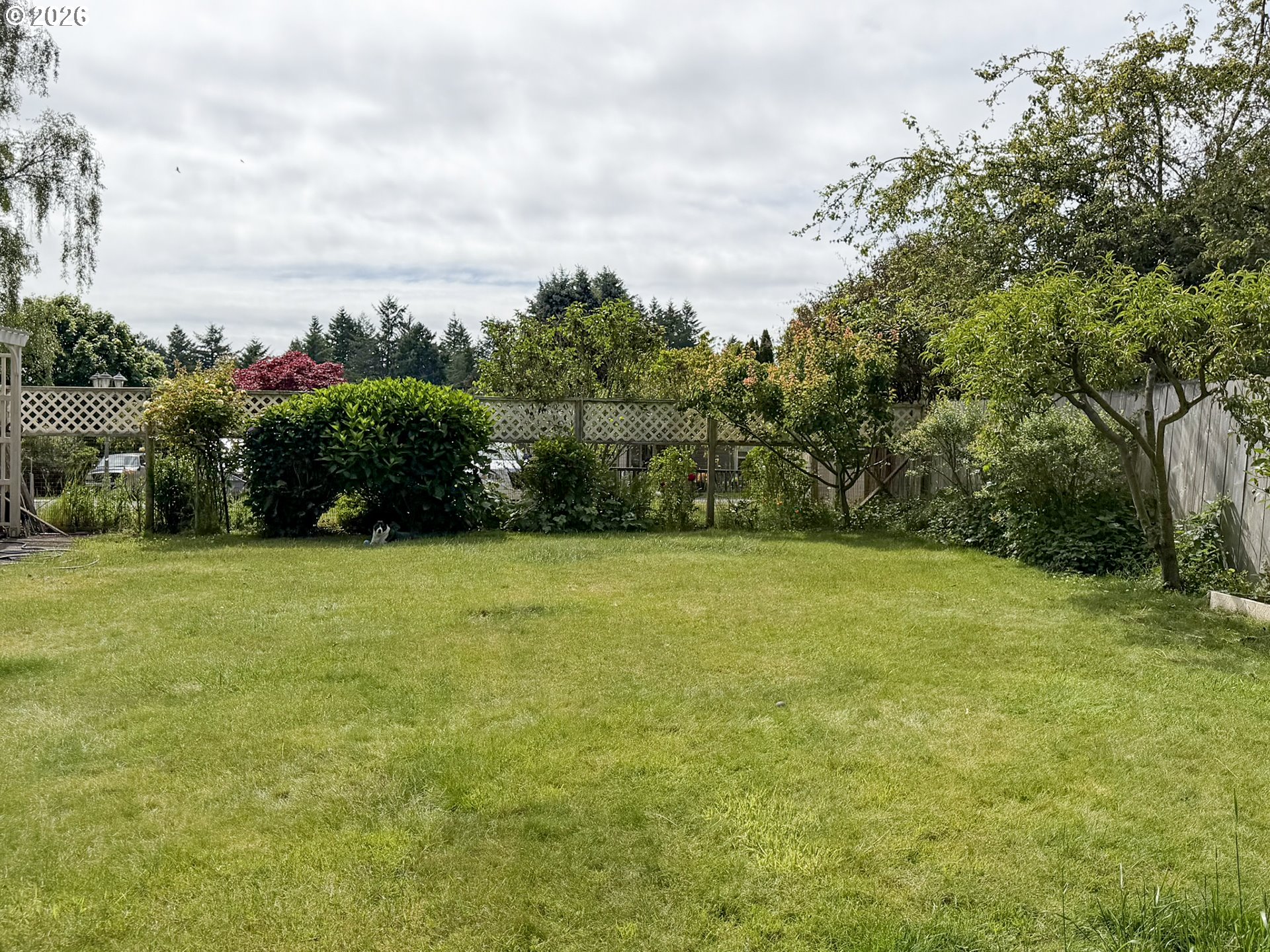 1372 Hampton Road Brookings, OR 97415 - Photo 40 of 42 a view of a yard with a trees