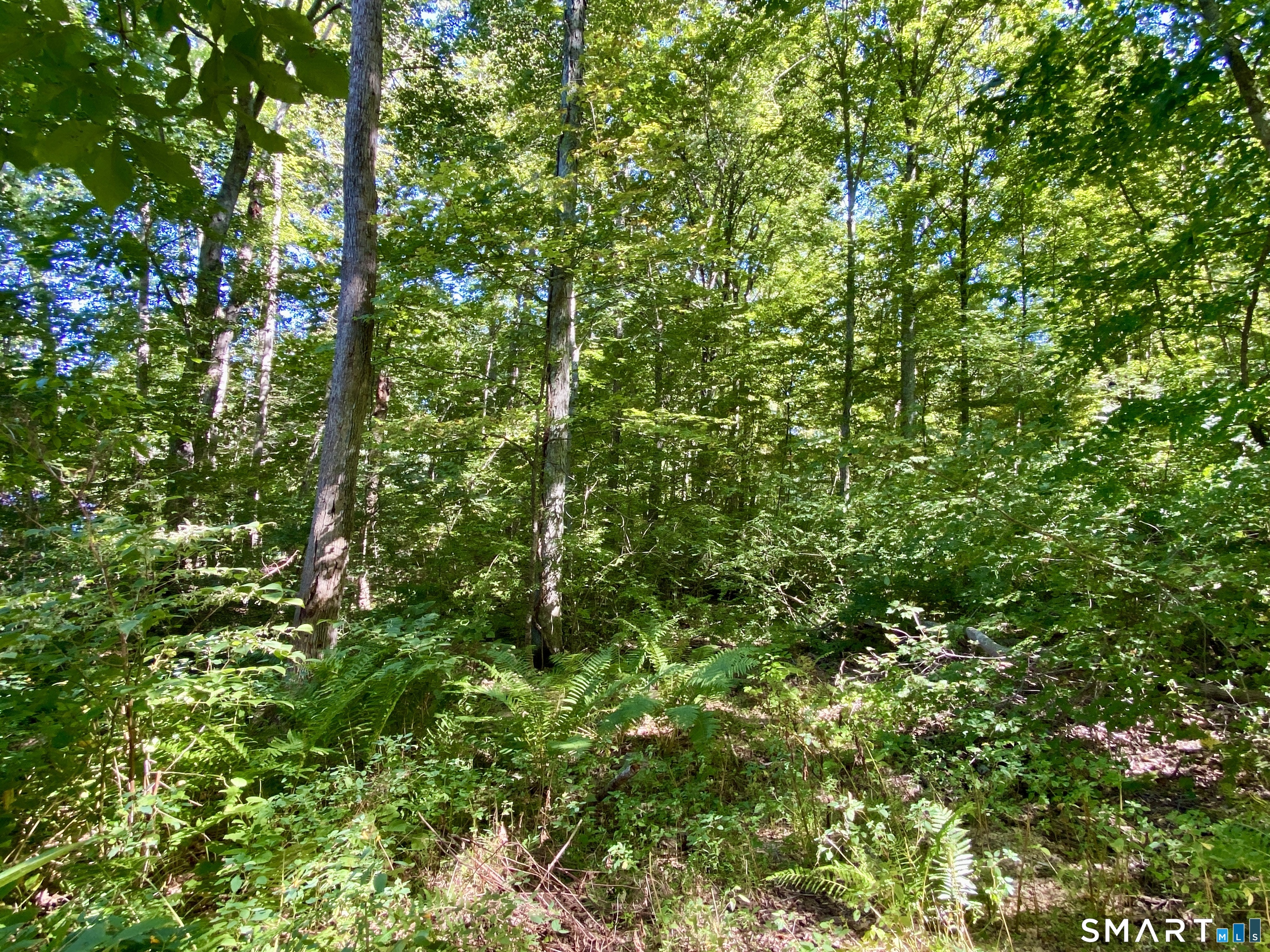 Seagraves Road Coventry, CT 06238 - Photo 4 of 6 Gallery Image 4