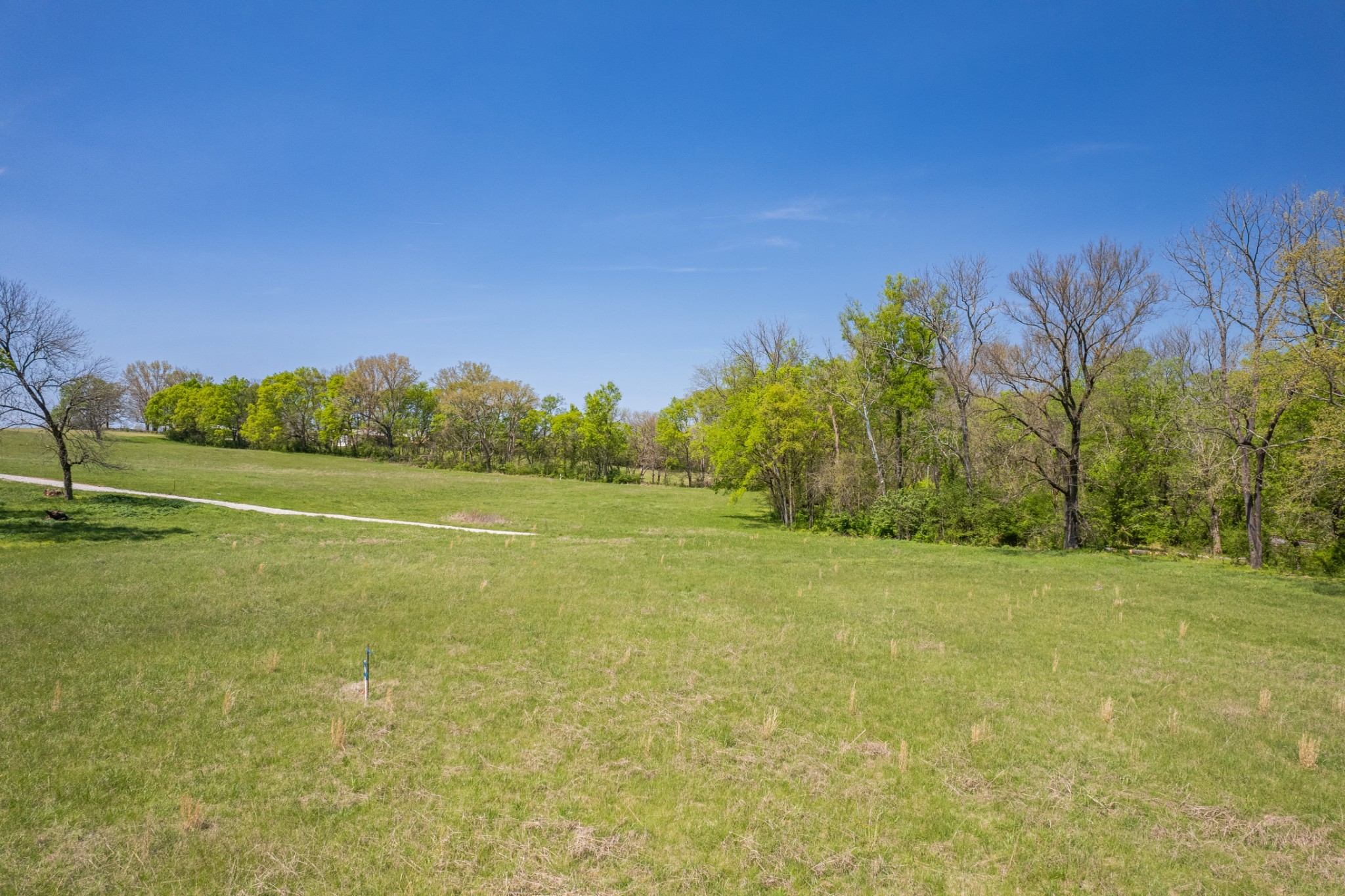 4 Old Zion Road Columbia, TN 38401 - Photo 55 of 67 Gallery Image 55