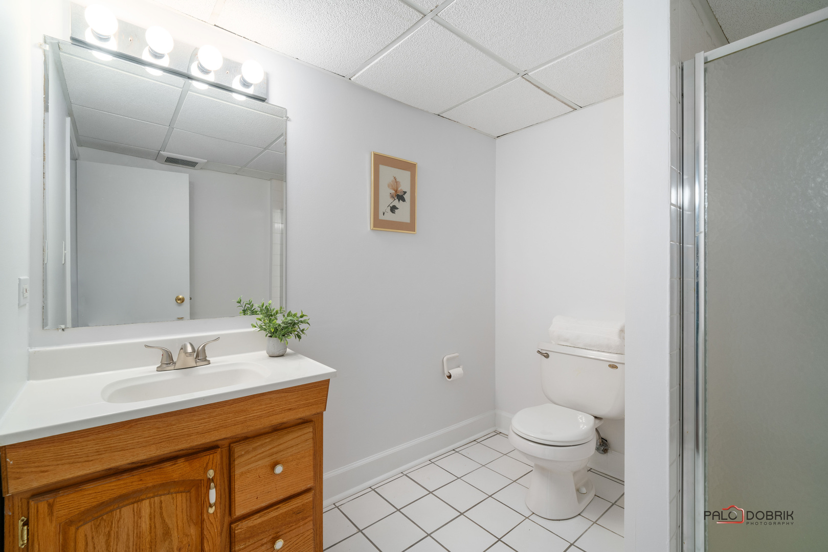 609 Raintree Road Buffalo Grove, IL 60089 - Photo 36 of 48 a bathroom with a sink a toilet and shower