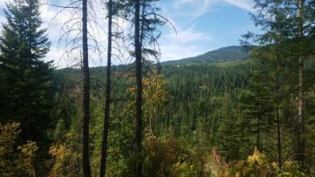 Beautiful views
