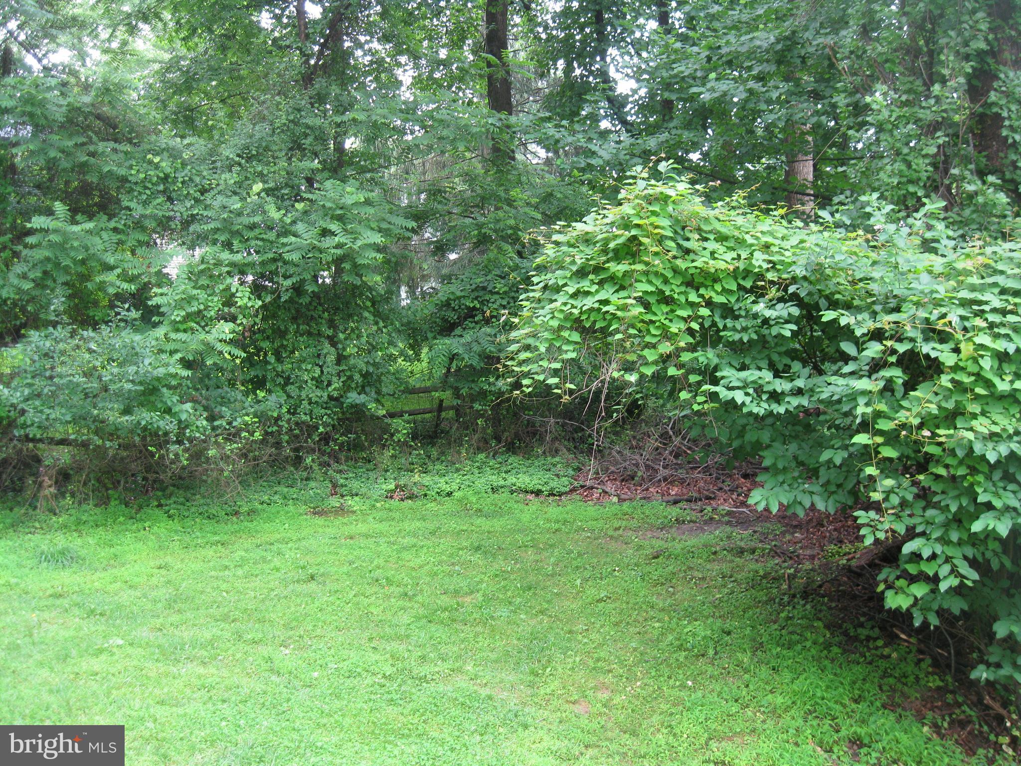 9481 Farewell Road Columbia, MD 21045 - Photo 18 of 18 a view of green field with trees in the background