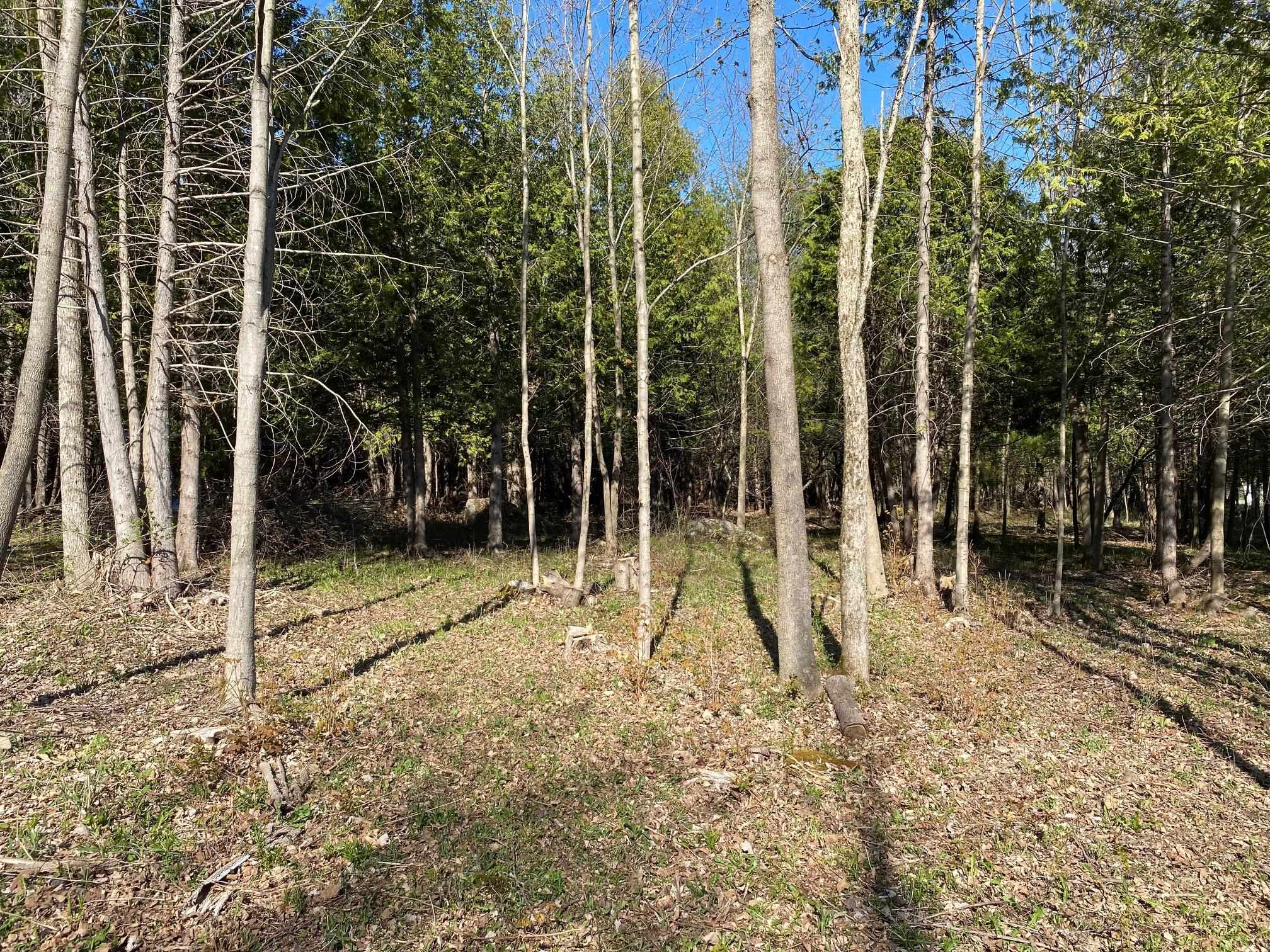 Lot 3 Goldsbury Woods Road Barre, VT 05641 - Photo 1 of 6
