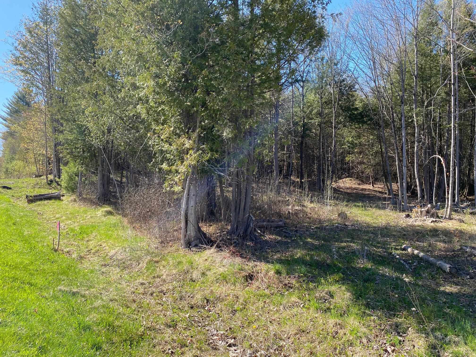 Lot 3 Goldsbury Woods Road Barre, VT 05641 - Photo 2 of 6