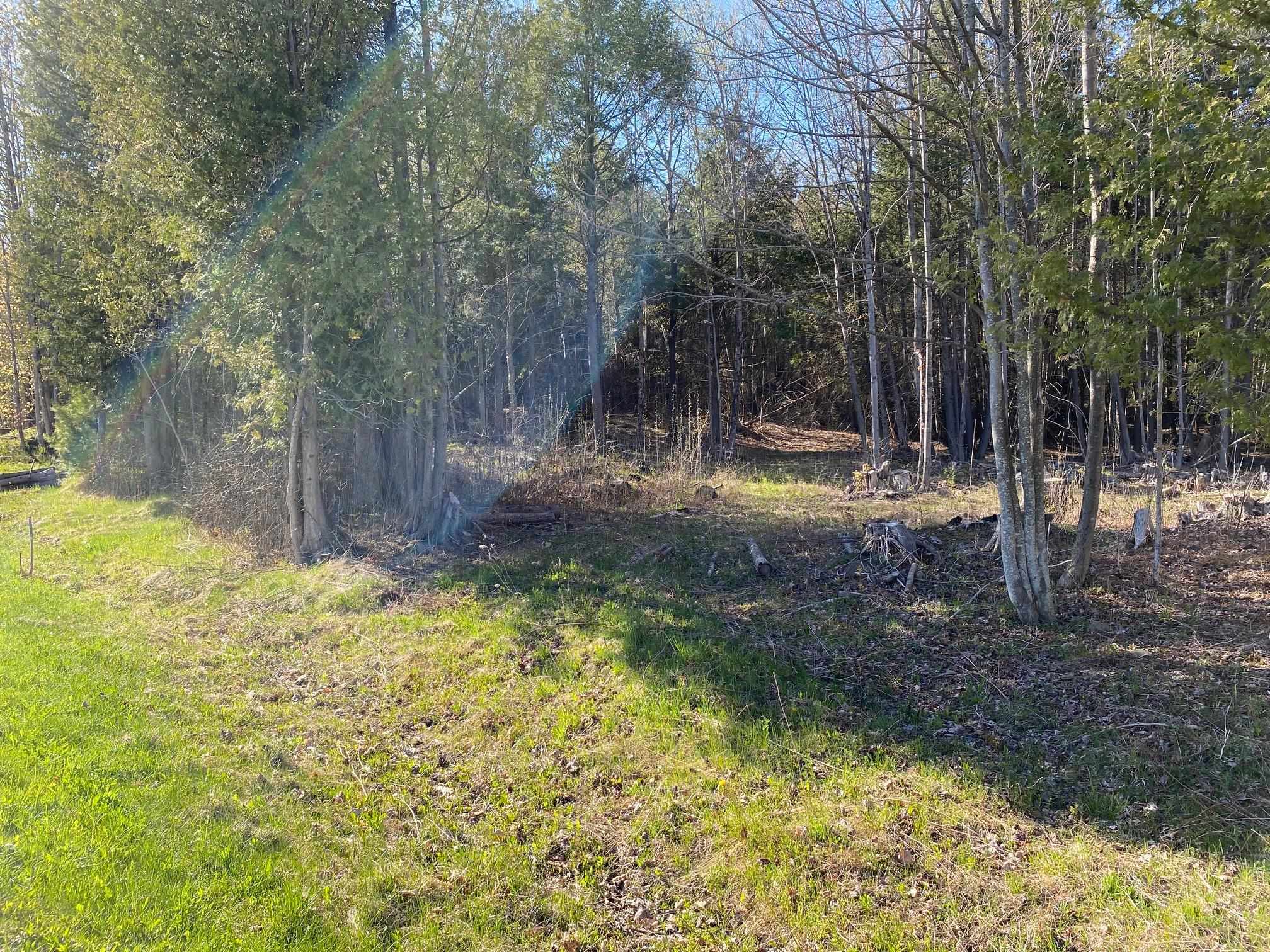 Lot 3 Goldsbury Woods Road Barre, VT 05641 - Photo 5 of 6