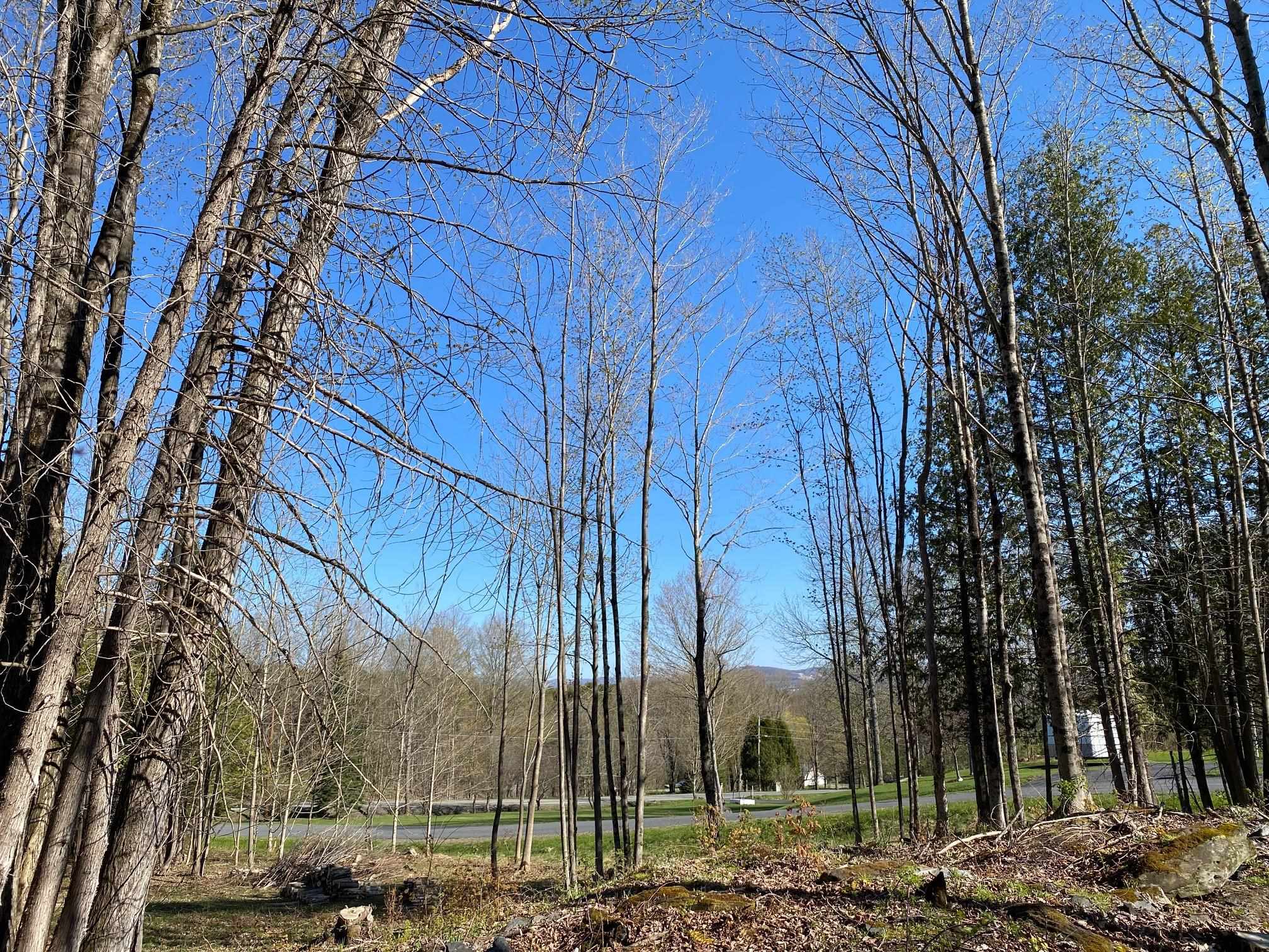 Lot 3 Goldsbury Woods Road Barre, VT 05641 - Photo 6 of 6