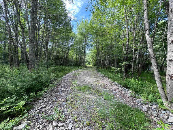 $39,000 | M1-l75a South Lagrange Road, Lagrange, ME 04453