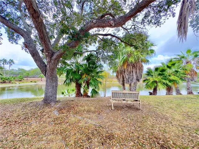 a view of a lake with a tree