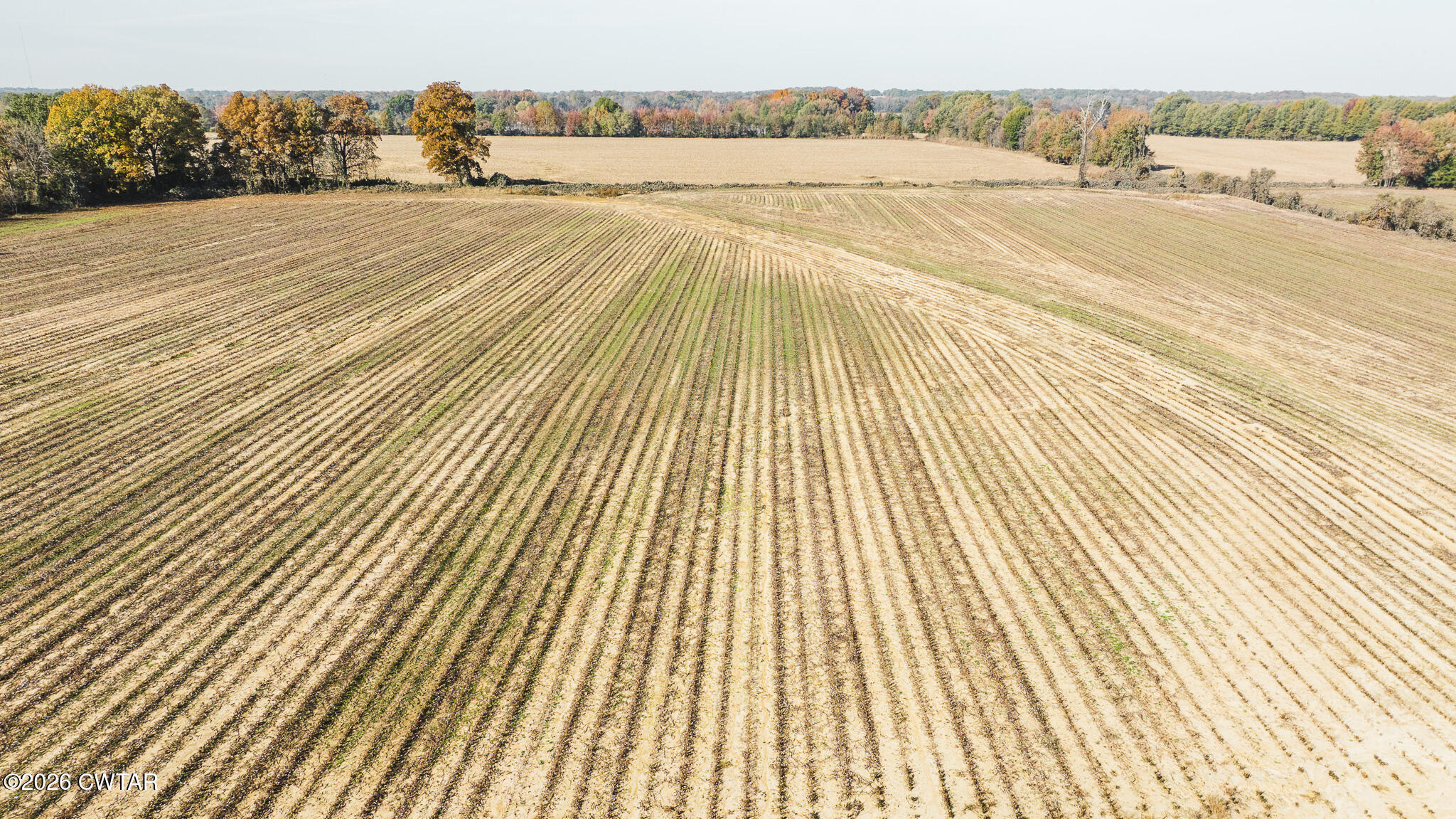 0 Kinner Road Humboldt, TN 38343 - Photo 4 of 22 a view of an ocean beach