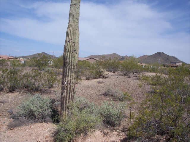 600 West Yearling Road Phoenix, AZ 85085 - Photo 1 of 4 Primary Photo