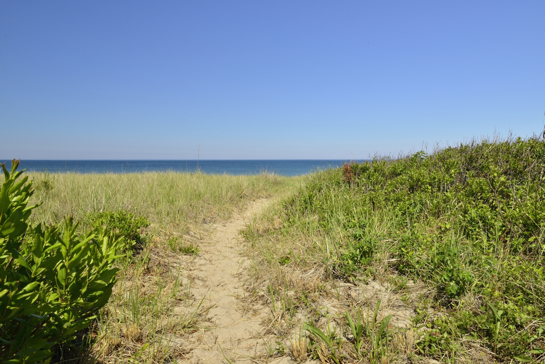 17 Squam Road Nantucket, MA 02554 - Photo 4 of 17 Gallery Image 4