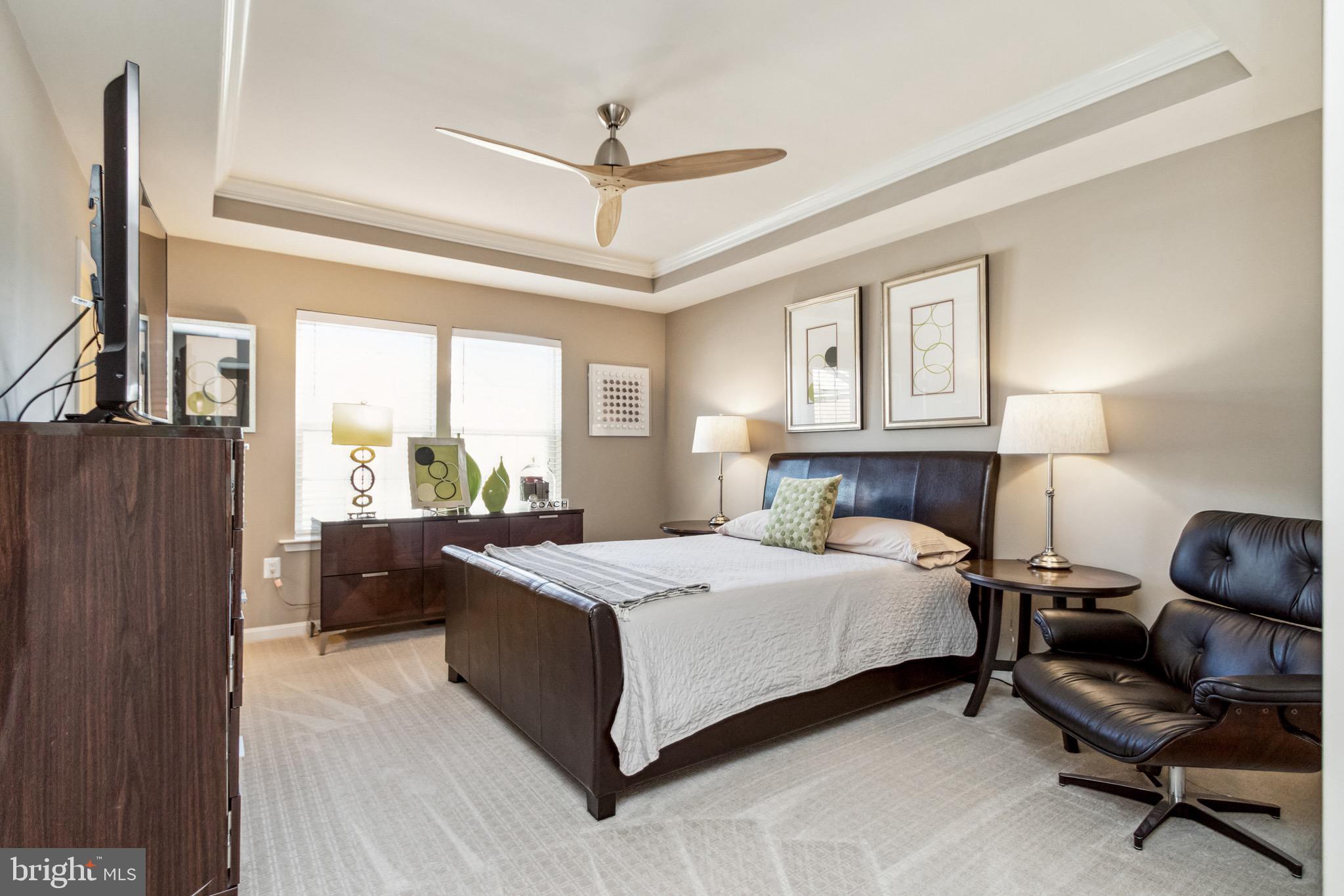 16008 Madison Ridge Place Gainesville, VA 20155 - Photo 14 of 35 Primary En Suite with decorative tray ceiling