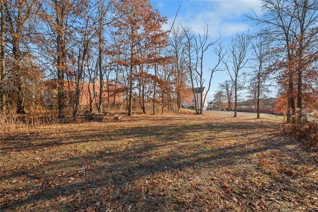 619 East McMurray Road McMurray, PA 15317 - Photo 3 of 12 a view of dirt yard with a large tree