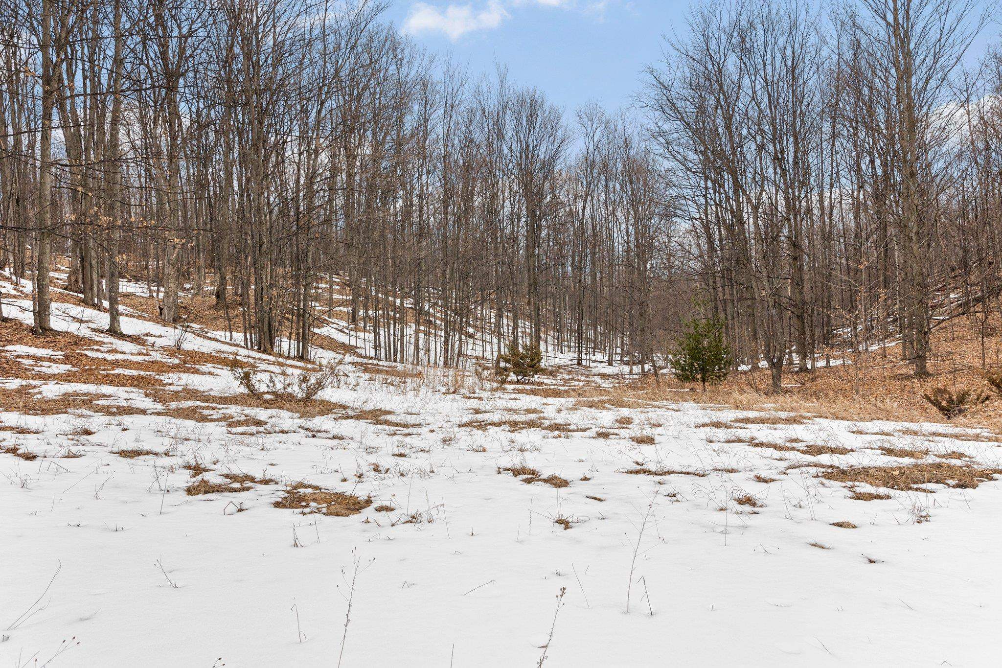 5 East Meander Lane Cedar, MI 49621 - Photo 8 of 36