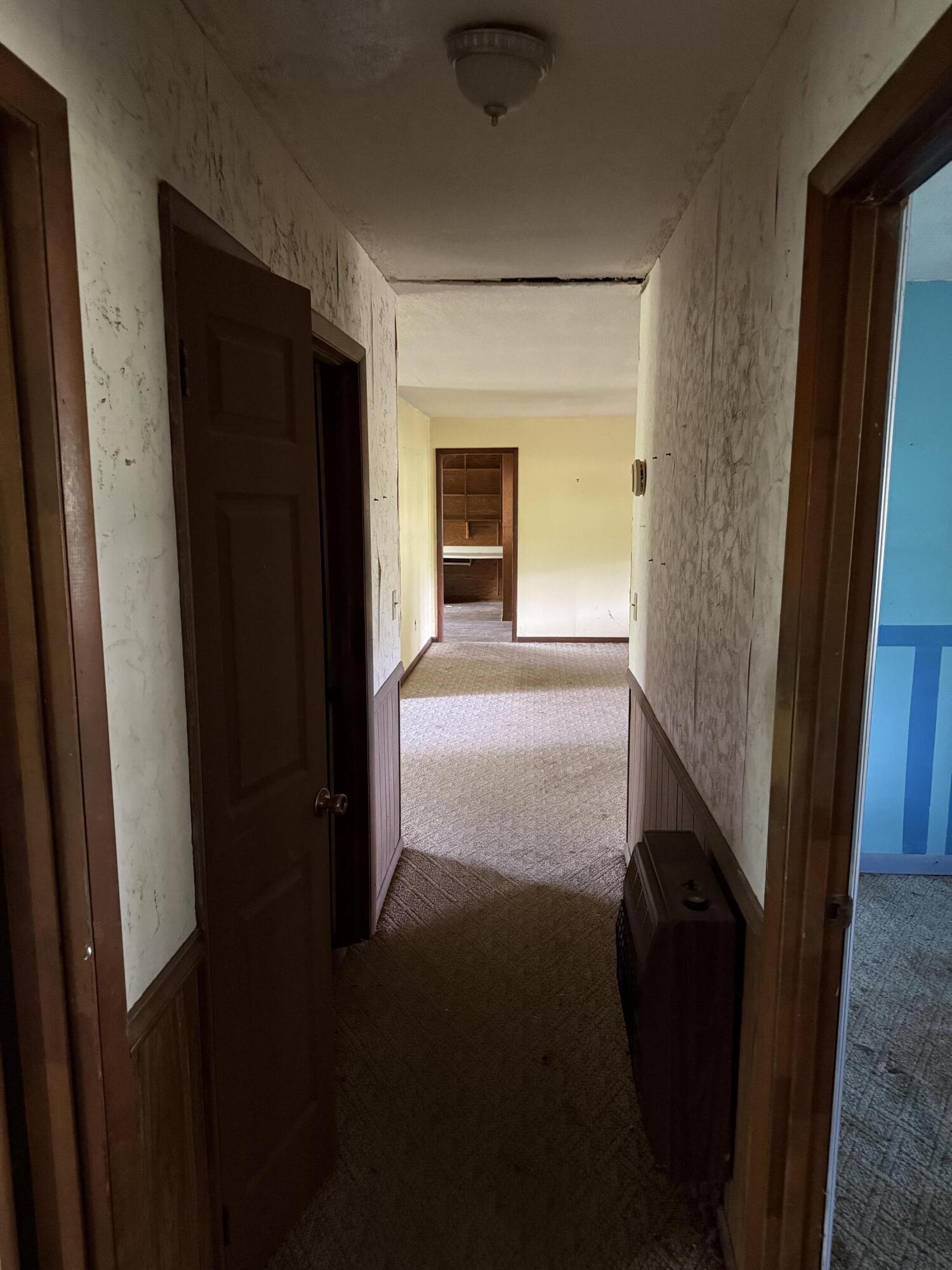 660 County Road 823 Higdon, AL 35979 - Photo 22 of 34 IMG_1090