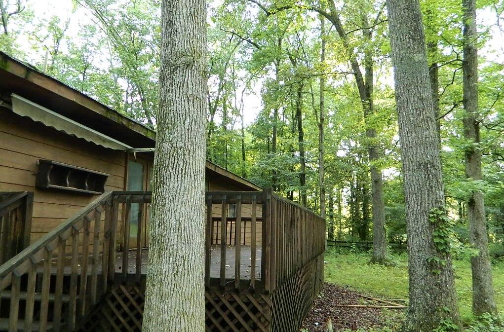 660 County Road 823 Higdon, AL 35979 - Photo 27 of 34 DSCN7928 2