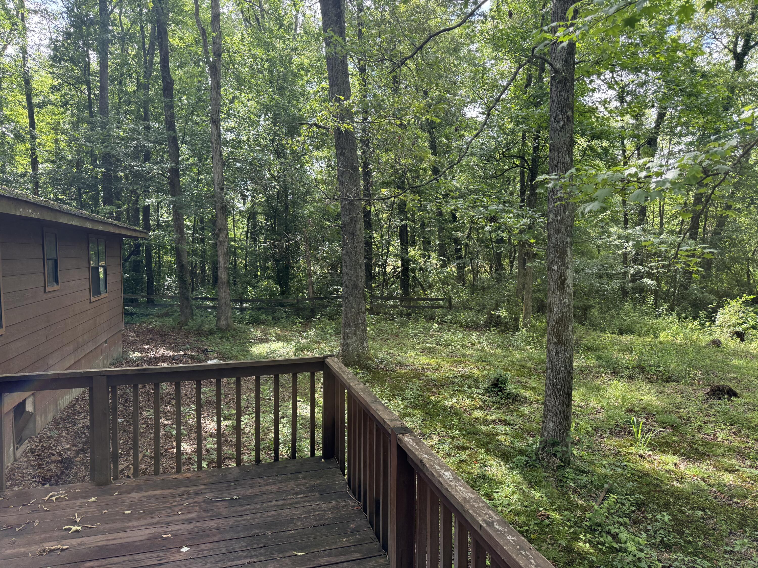 660 County Road 823 Higdon, AL 35979 - Photo 29 of 34 IMG_1103