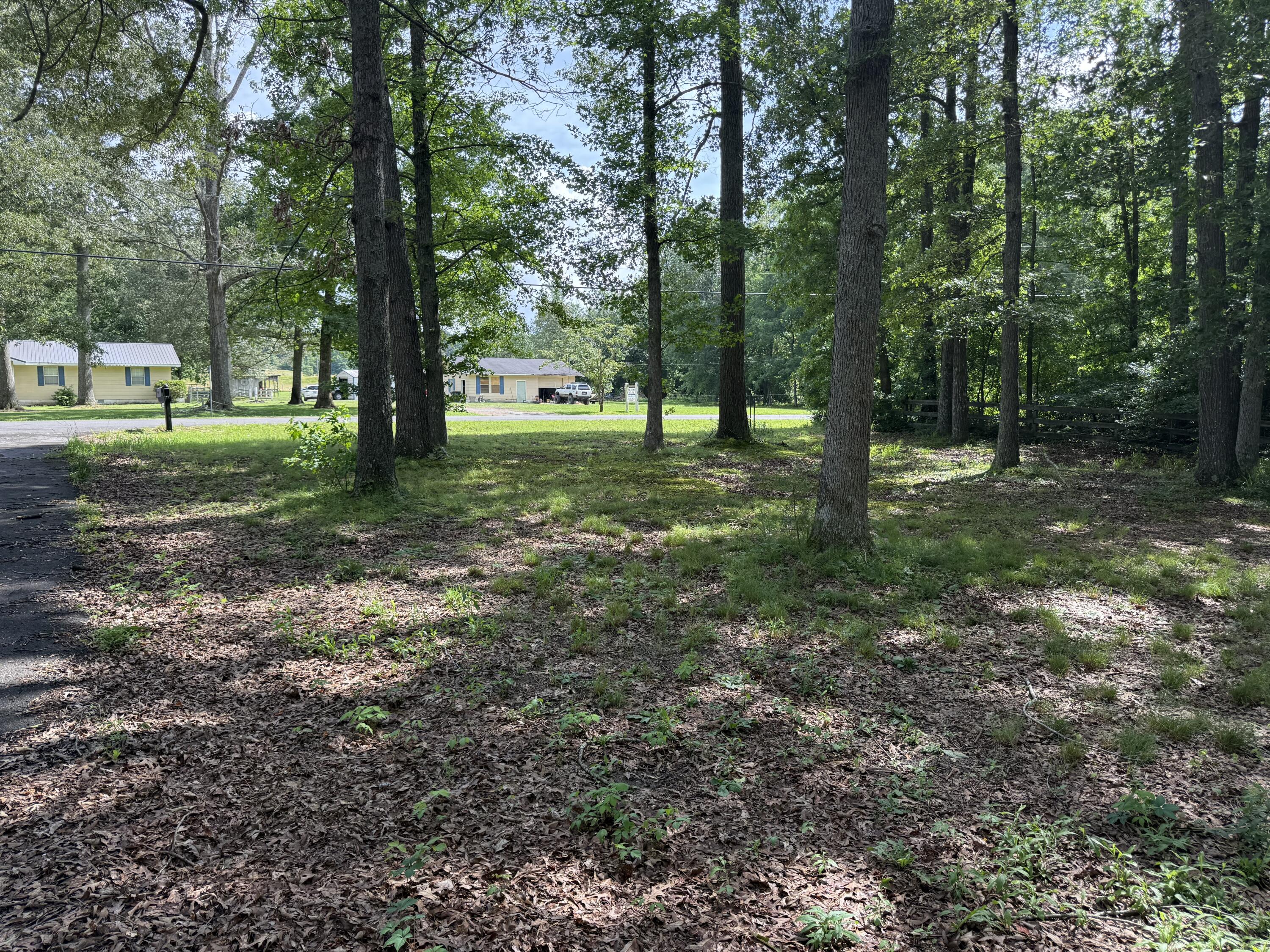 660 County Road 823 Higdon, AL 35979 - Photo 30 of 34 IMG_1111