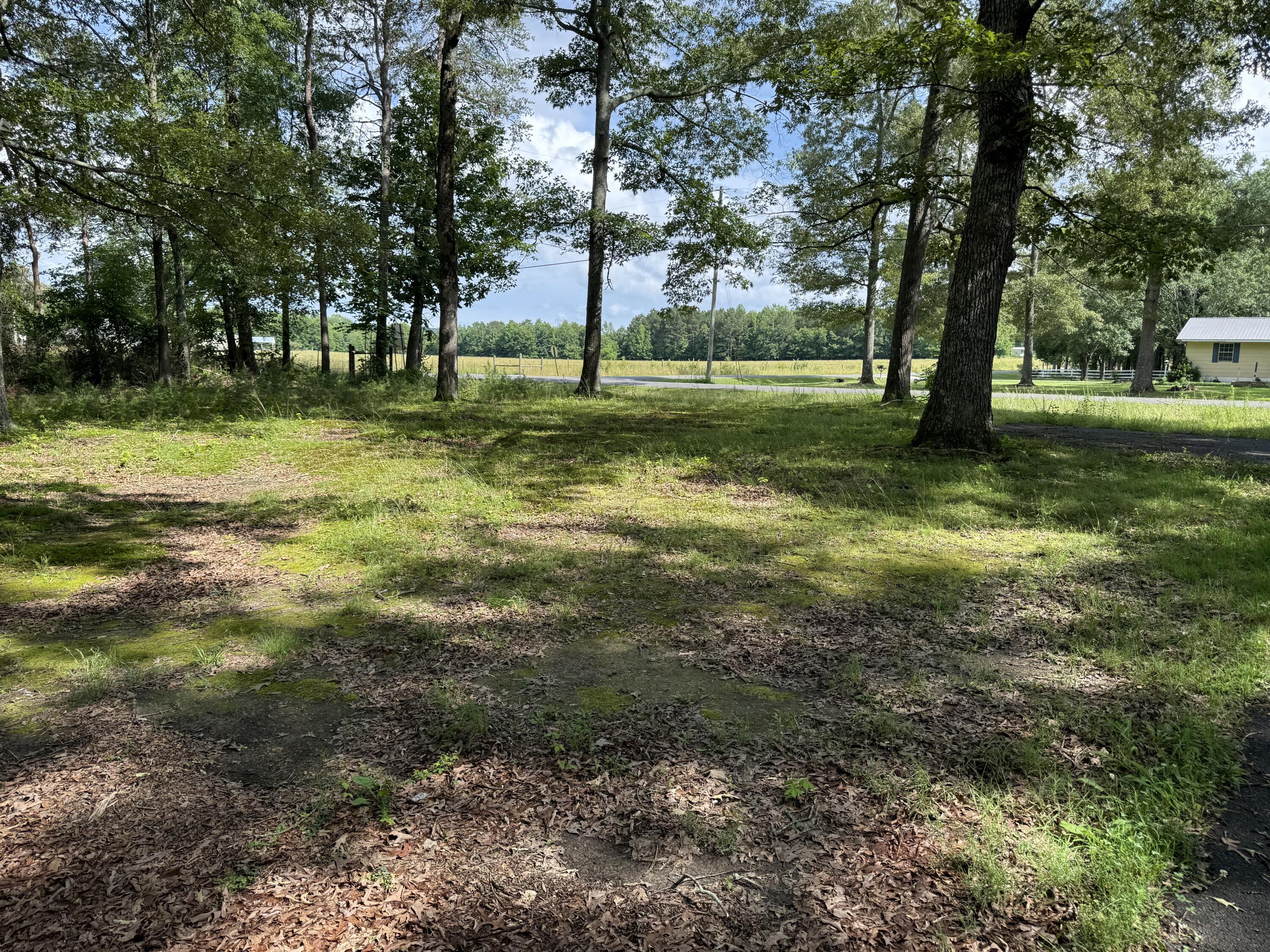 660 County Road 823 Higdon, AL 35979 - Photo 31 of 34 IMG_1110