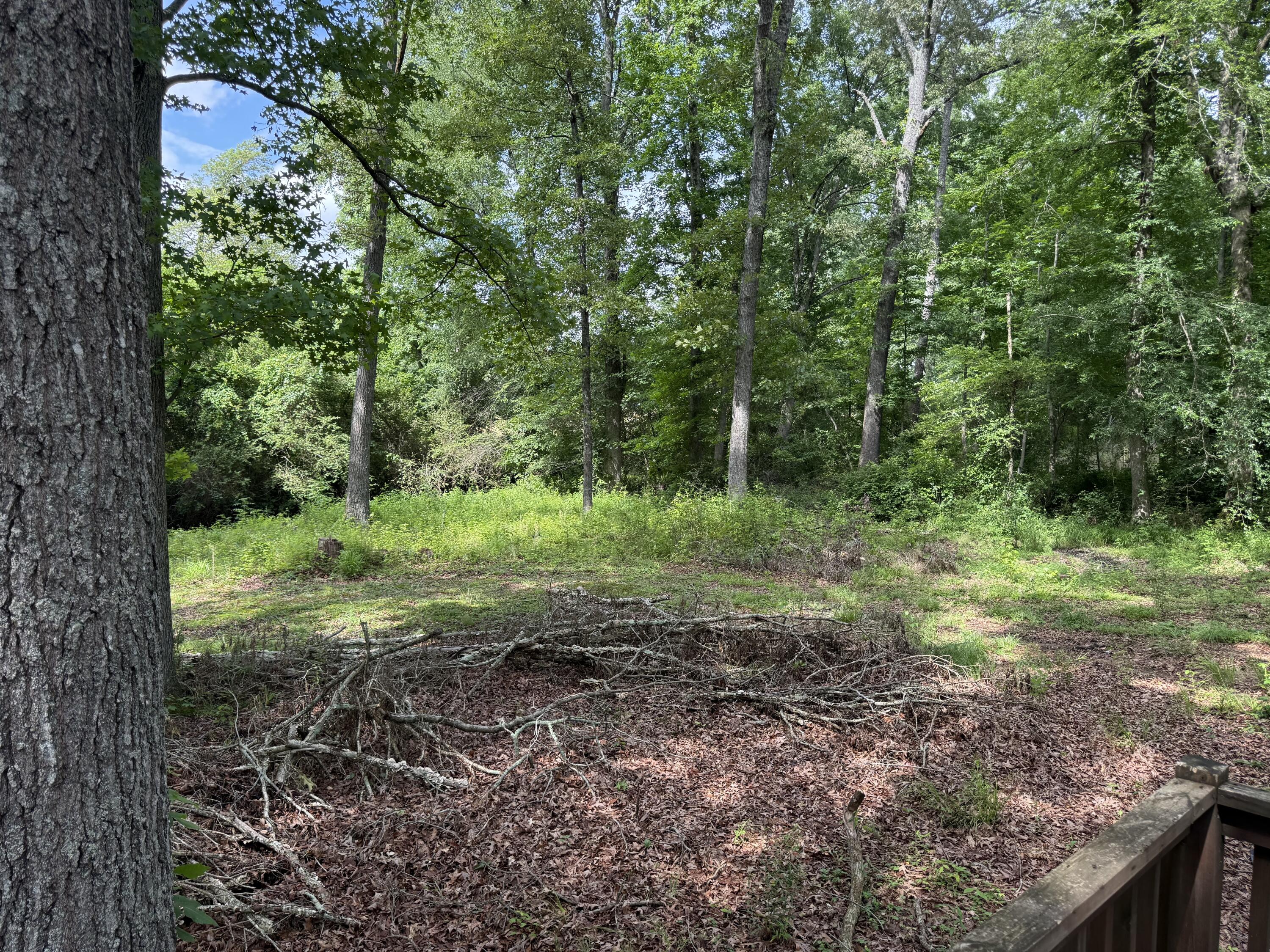 660 County Road 823 Higdon, AL 35979 - Photo 32 of 34 IMG_1102