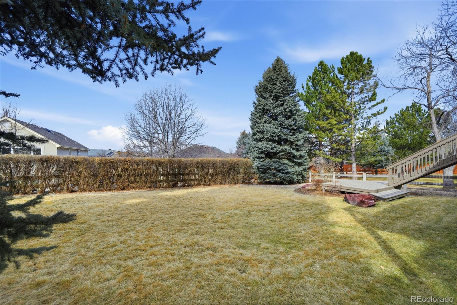 6879 Ingleton Drive Castle Pines, CO 80108 - Photo 47 of 50 a view of a yard with a tree