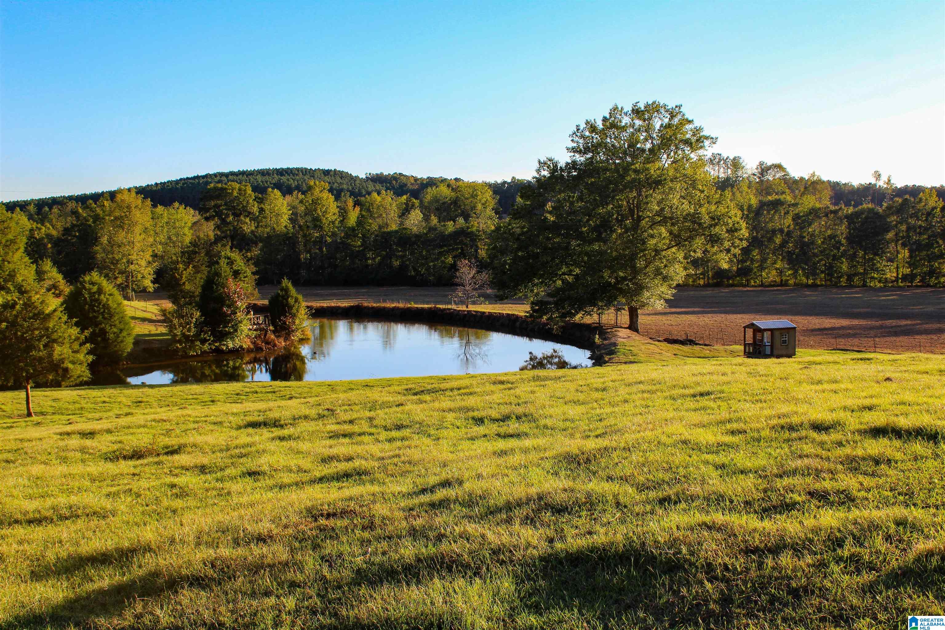 845 Turner Road Fayette, AL 35555 - Photo 44 of 61