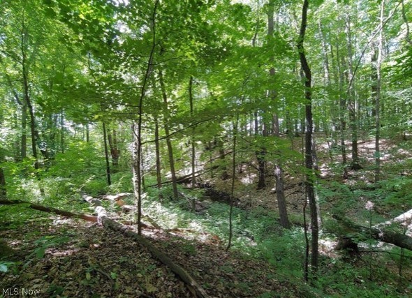 Kinsman Ridge Kinsman, OH 44428 - Photo 1 of 17 Gallery Image 1