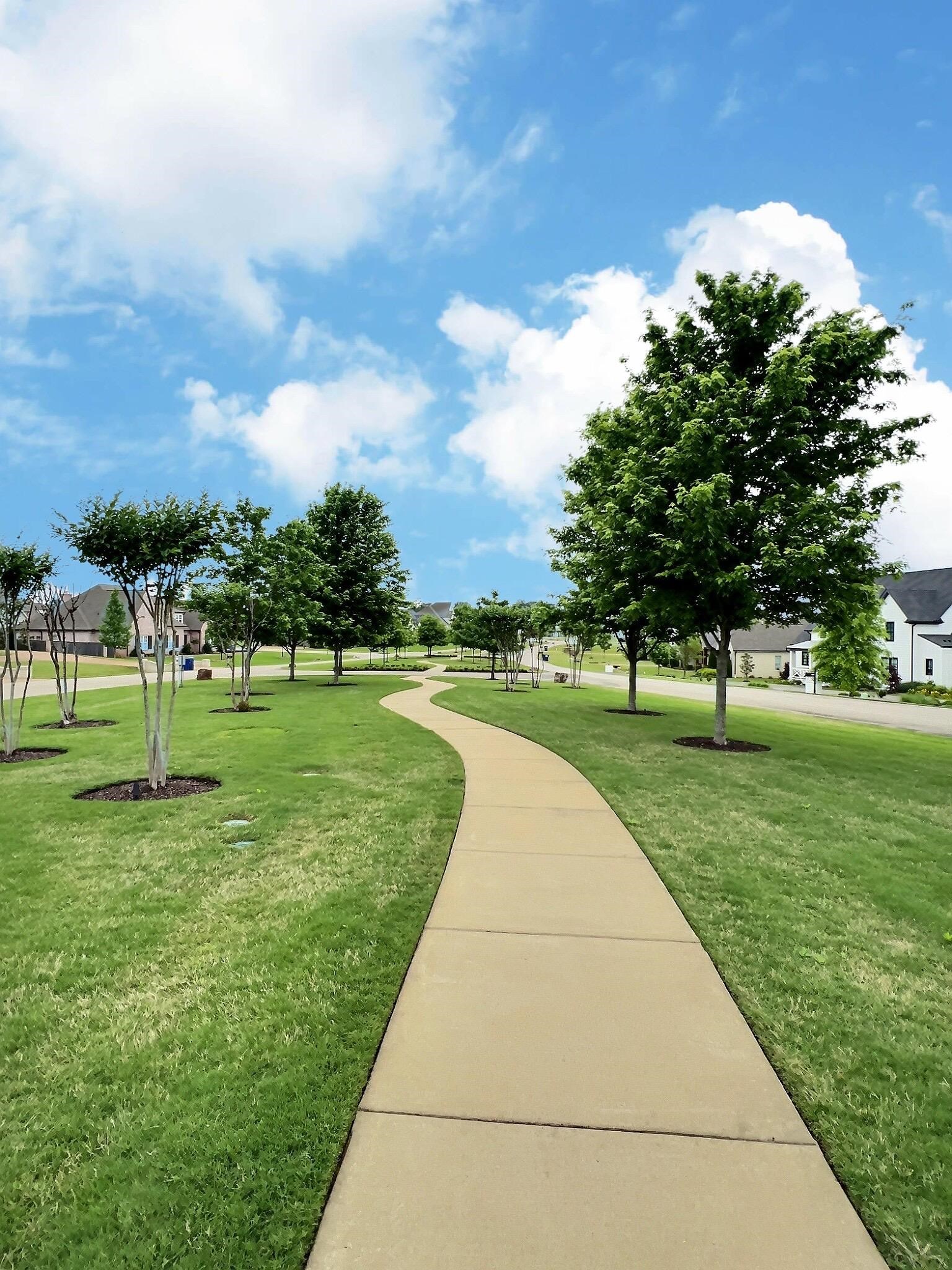 110 Rambling Rex Trail Collierville, TN 38017 - Photo 3 of 36 a view of a park with large trees
