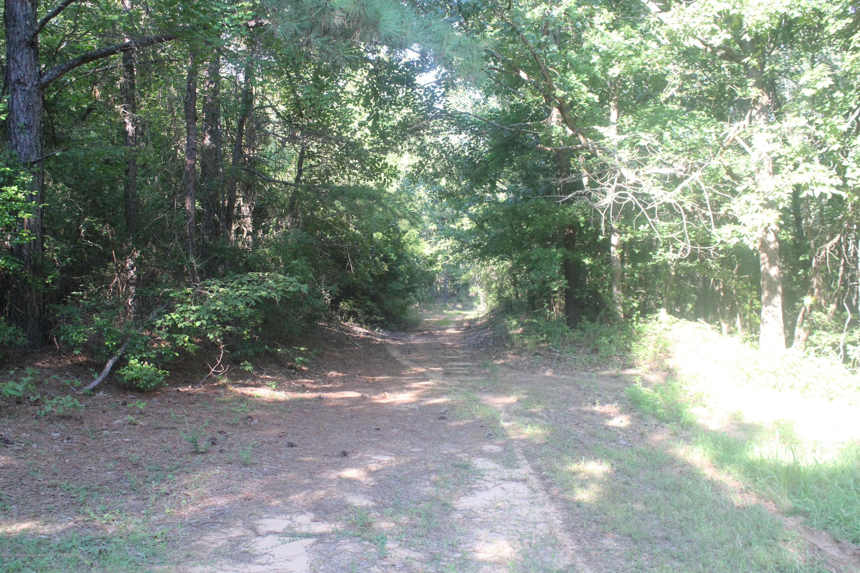 201 Colston Road Holly Springs, MS 38635 - Photo 16 of 35 071
