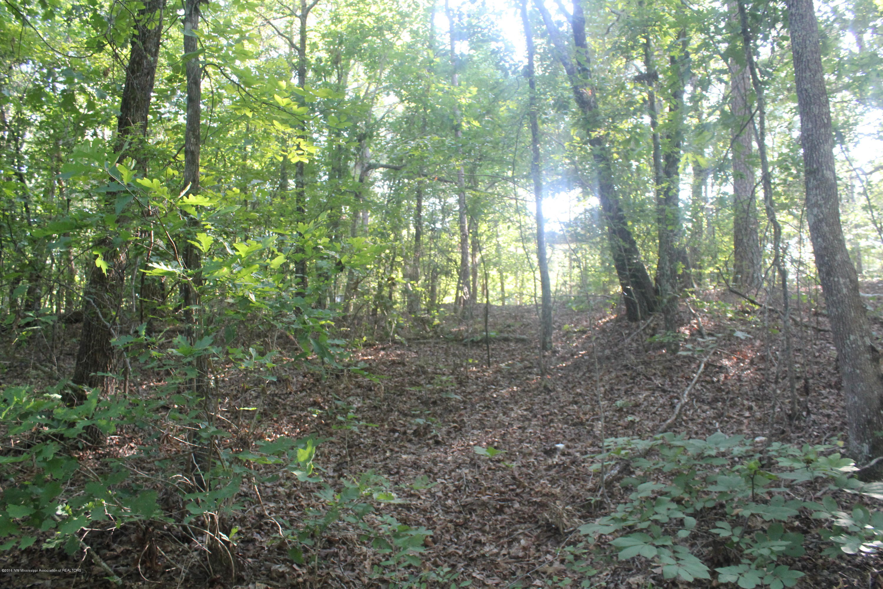 201 Colston Road Holly Springs, MS 38635 - Photo 17 of 35 074