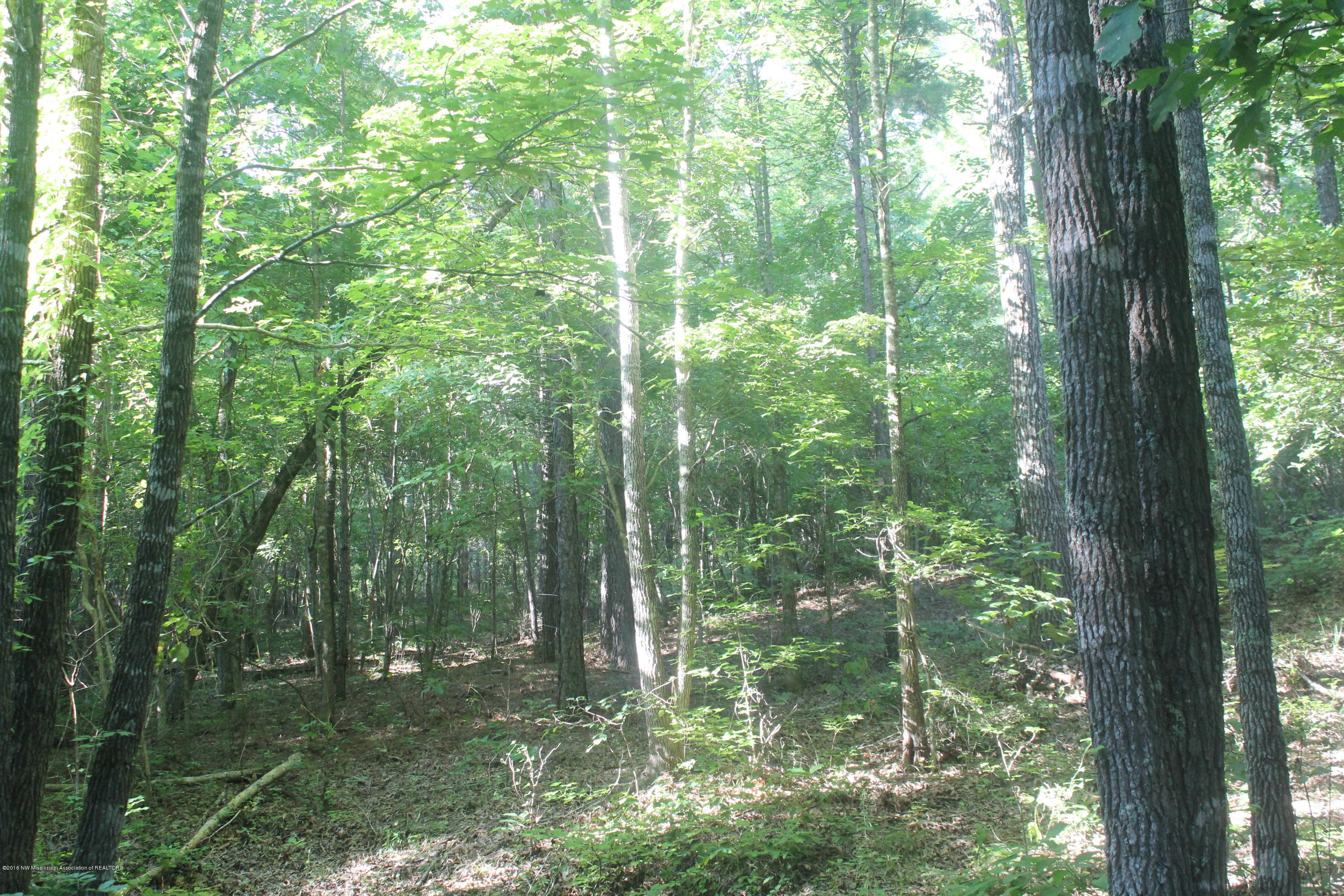 201 Colston Road Holly Springs, MS 38635 - Photo 18 of 35 076
