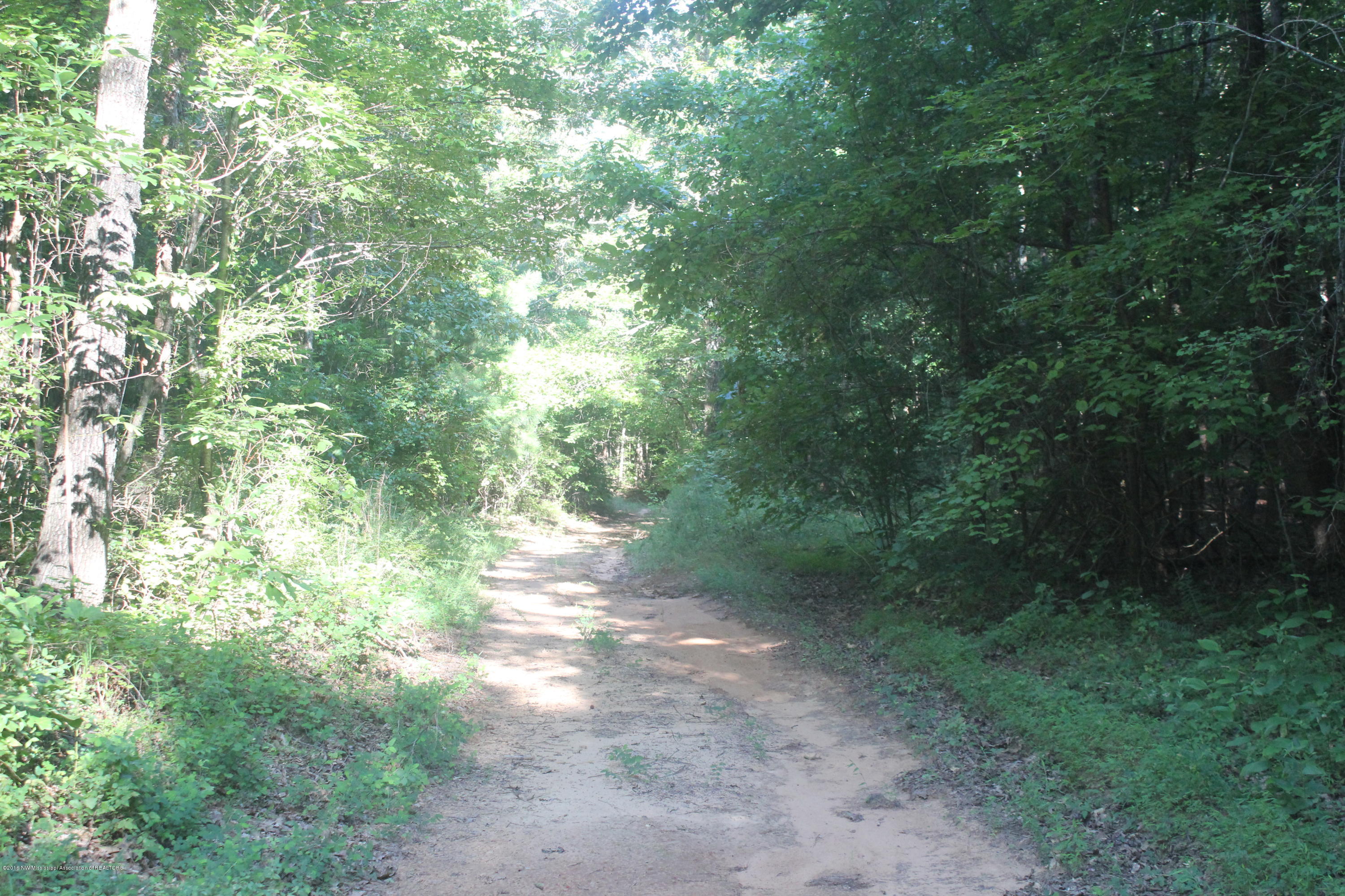 201 Colston Road Holly Springs, MS 38635 - Photo 19 of 35 077