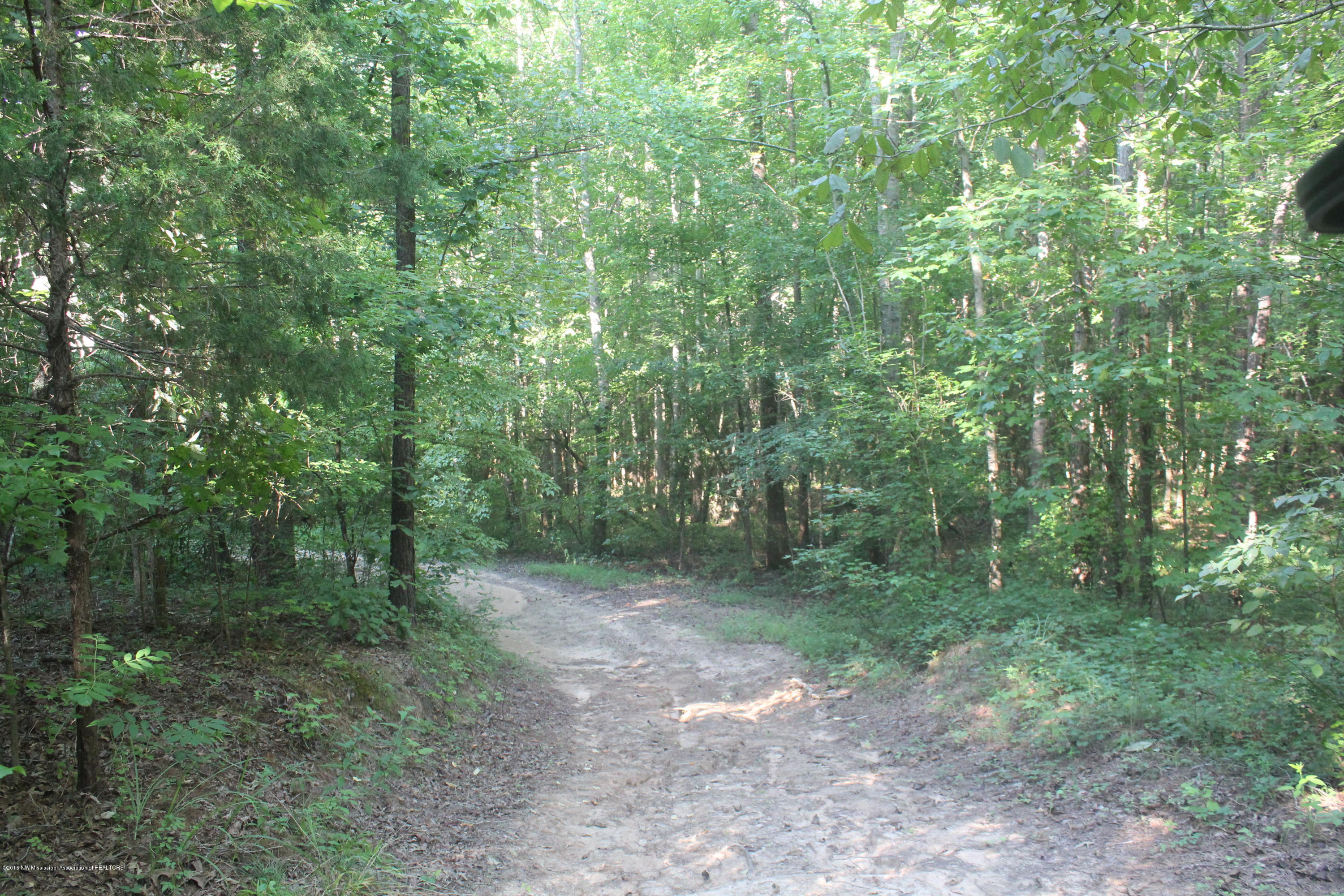 201 Colston Road Holly Springs, MS 38635 - Photo 20 of 35 079
