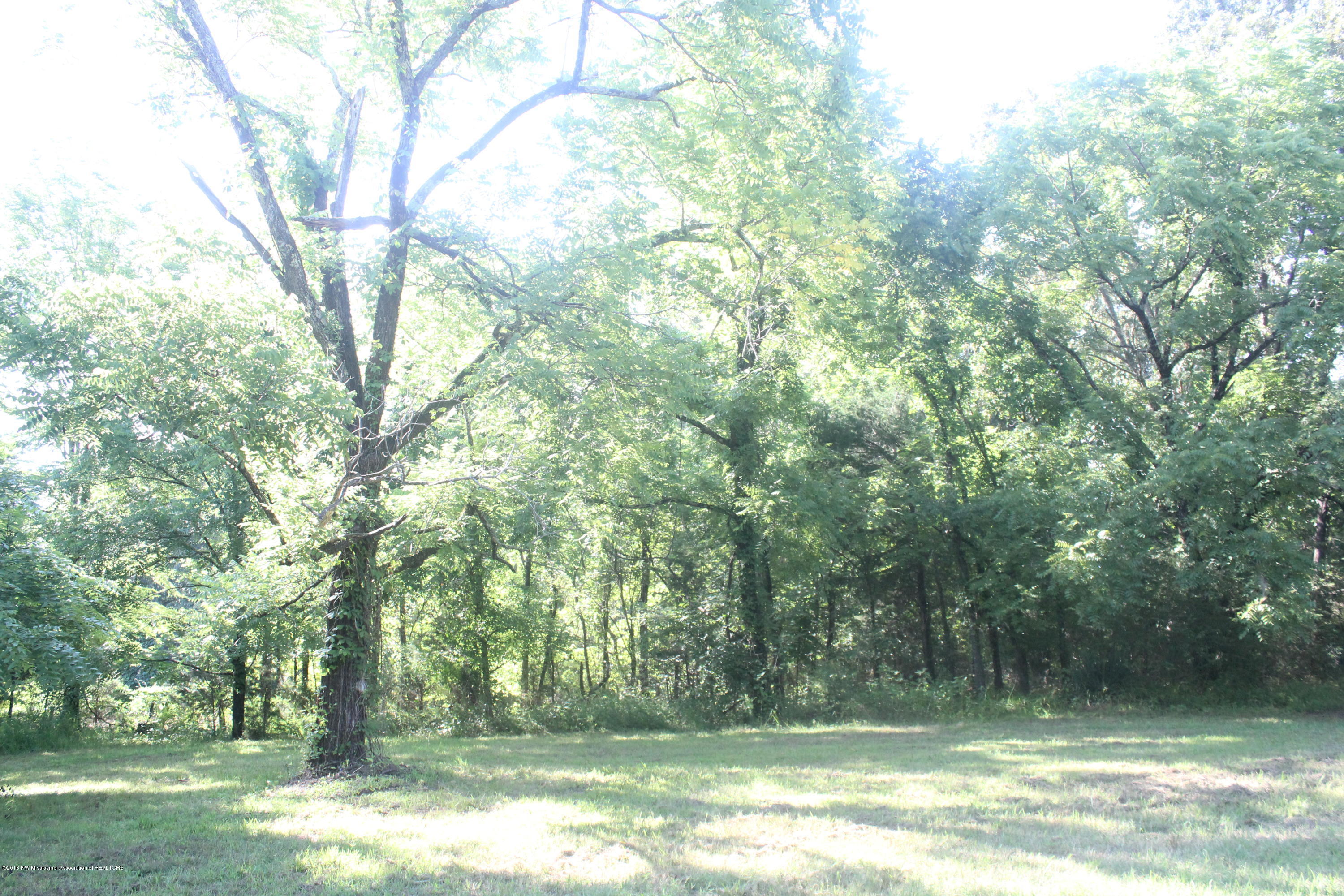 201 Colston Road Holly Springs, MS 38635 - Photo 2 of 35 047