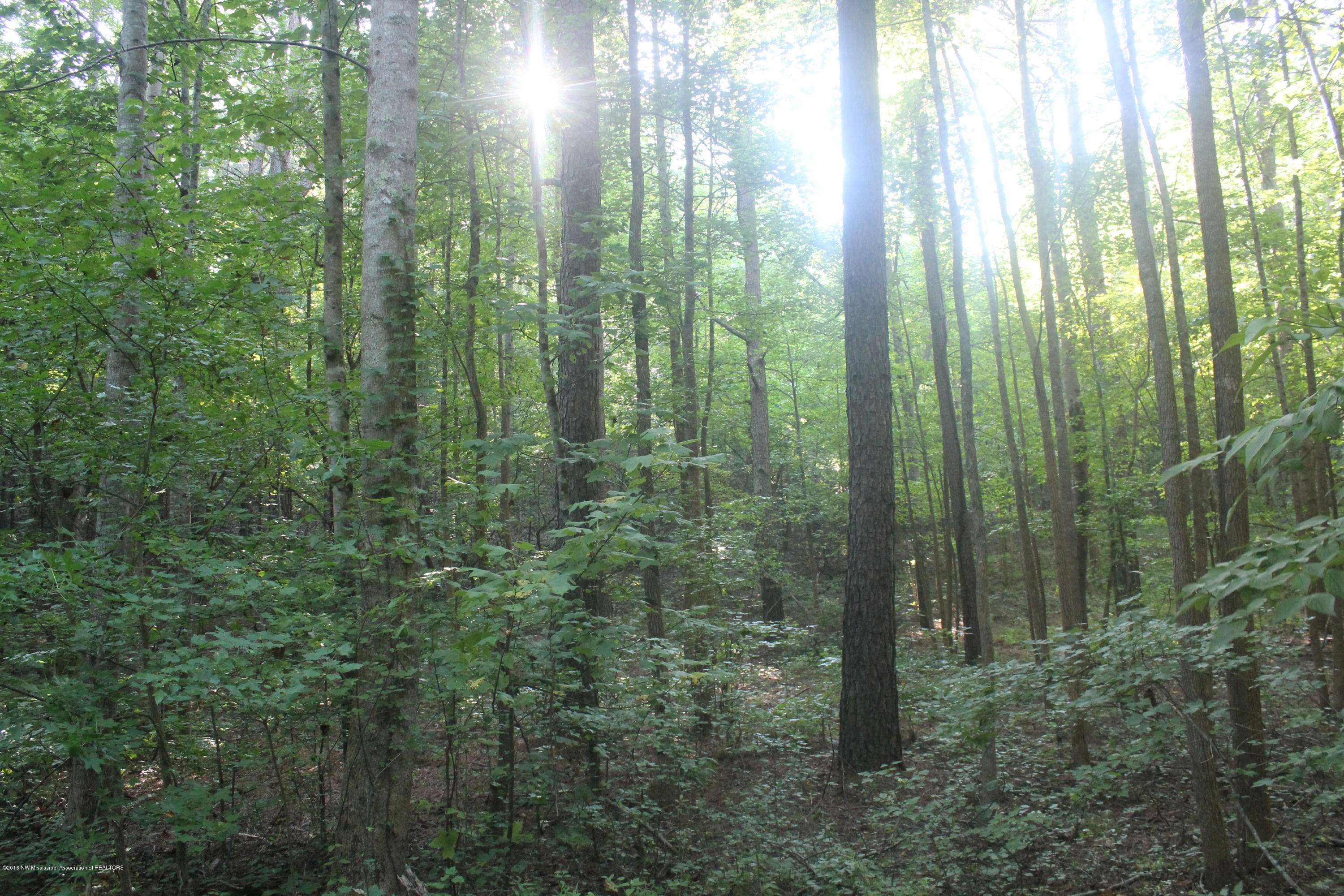 201 Colston Road Holly Springs, MS 38635 - Photo 21 of 35 082