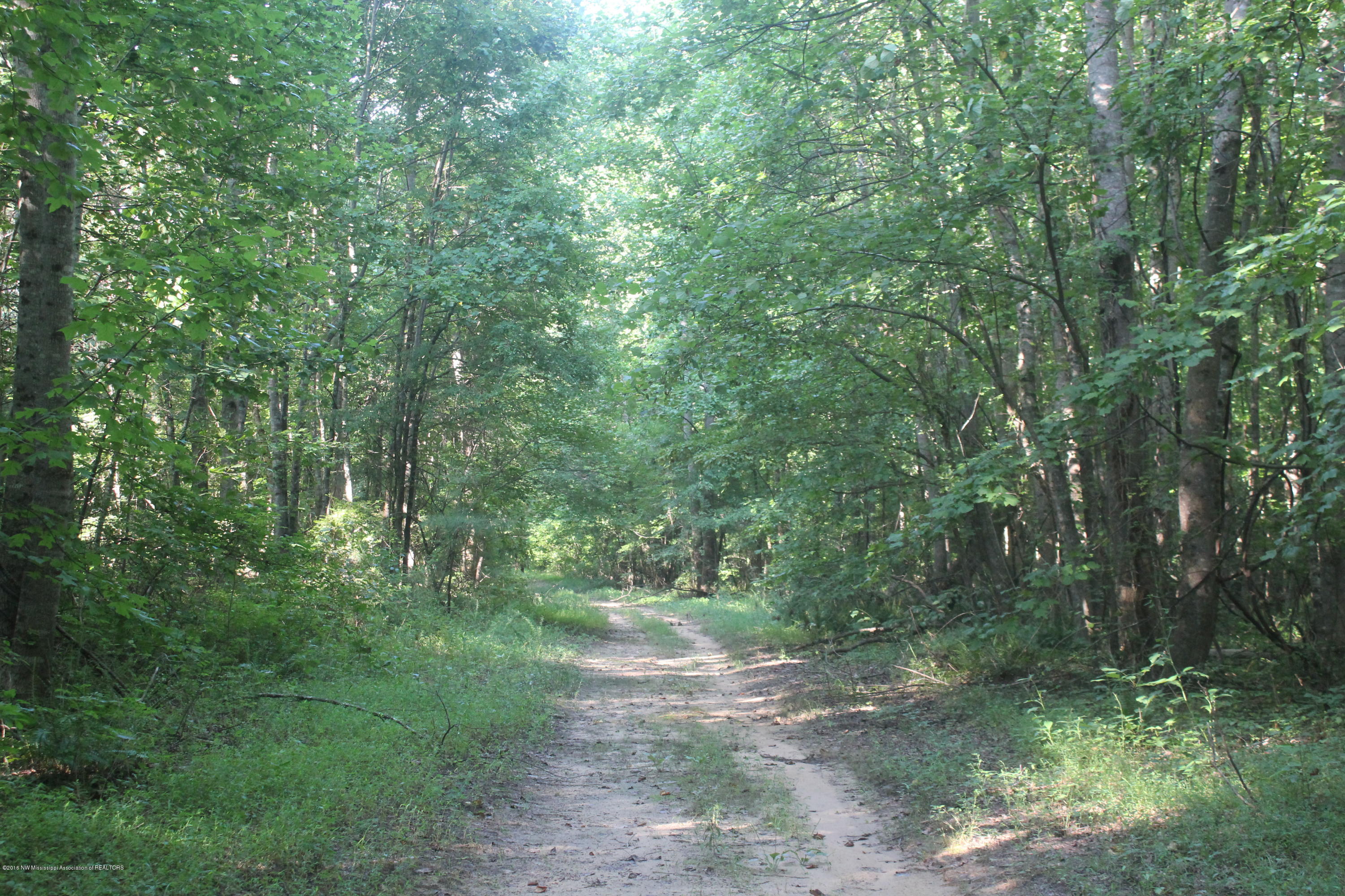 201 Colston Road Holly Springs, MS 38635 - Photo 22 of 35 084