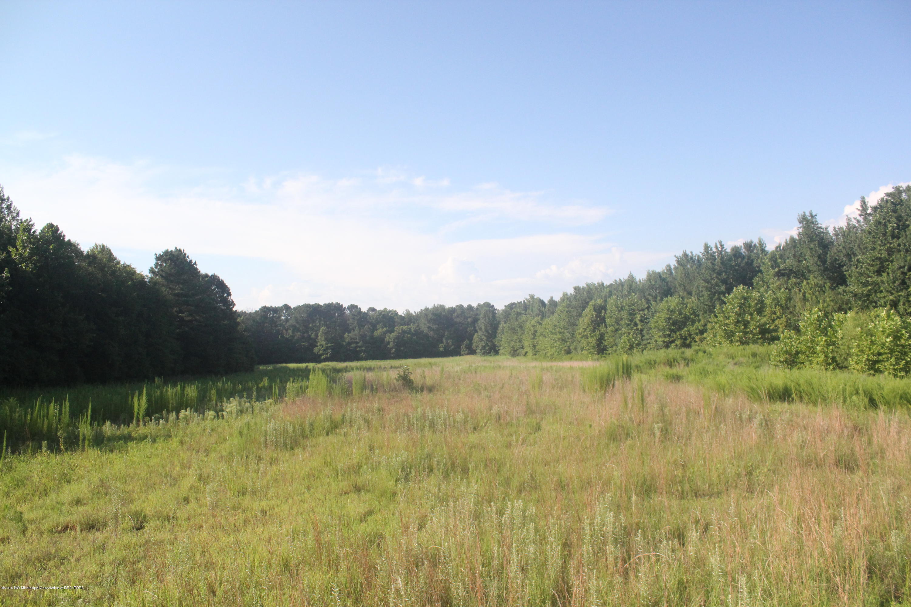201 Colston Road Holly Springs, MS 38635 - Photo 24 of 35 086