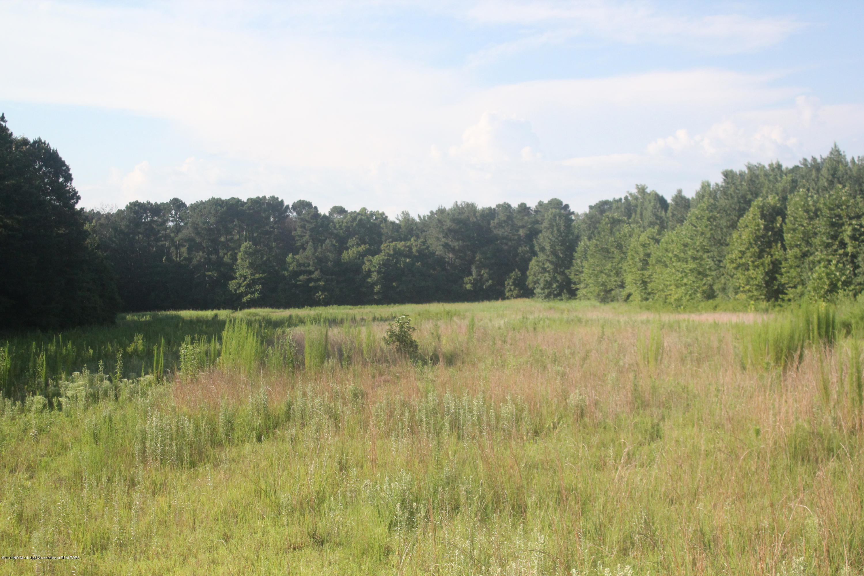 201 Colston Road Holly Springs, MS 38635 - Photo 25 of 35 087