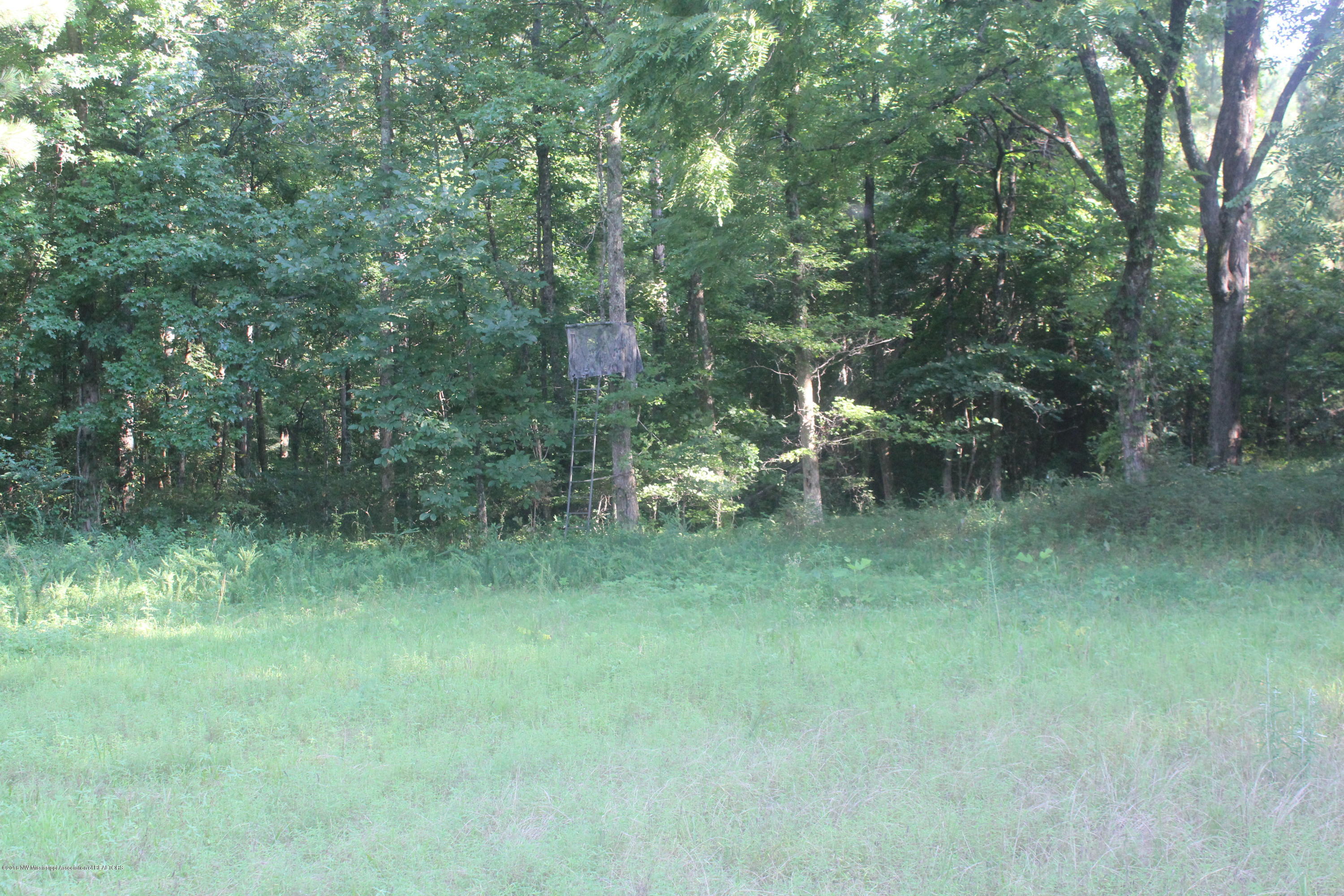 201 Colston Road Holly Springs, MS 38635 - Photo 26 of 35 090