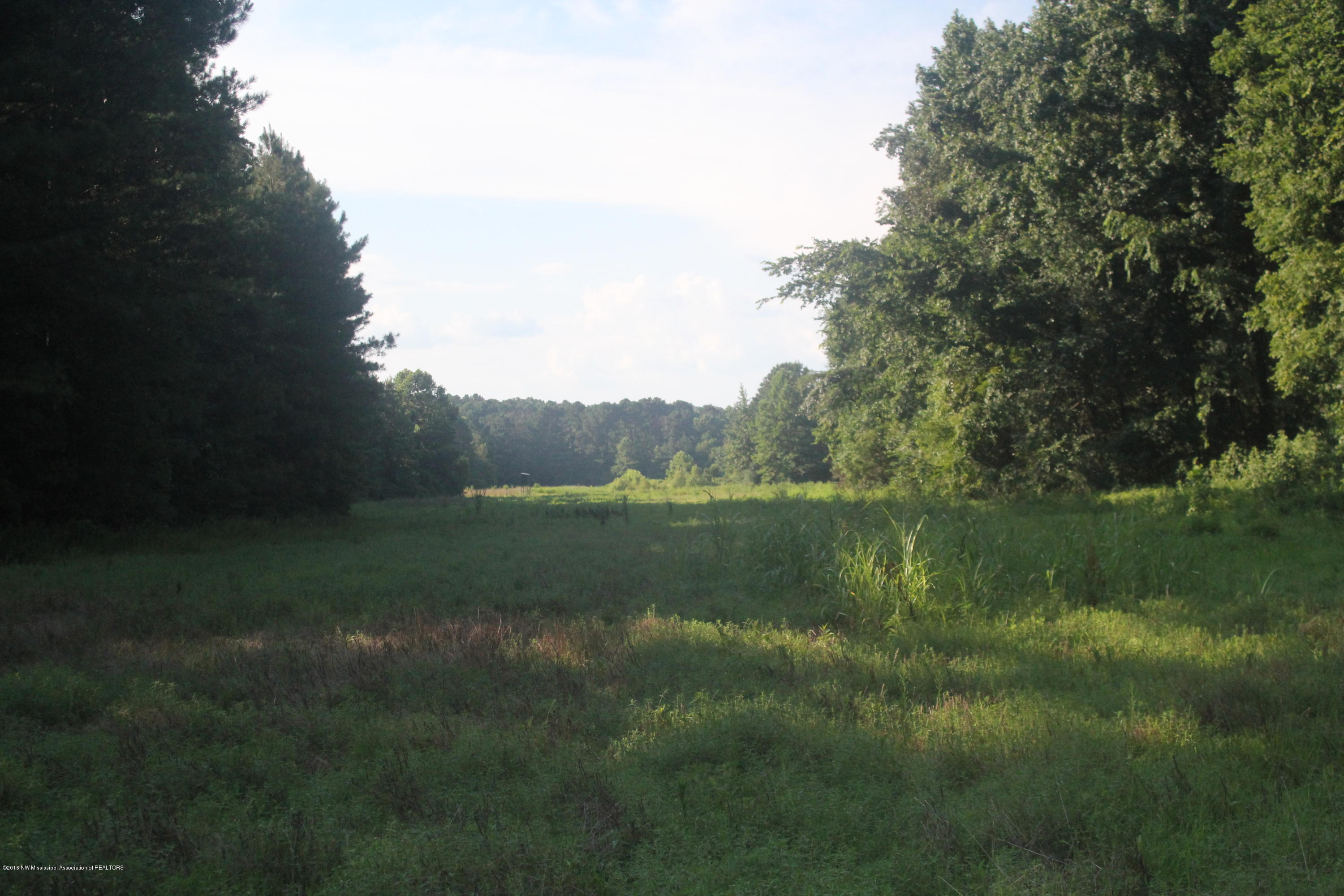 201 Colston Road Holly Springs, MS 38635 - Photo 27 of 35 091