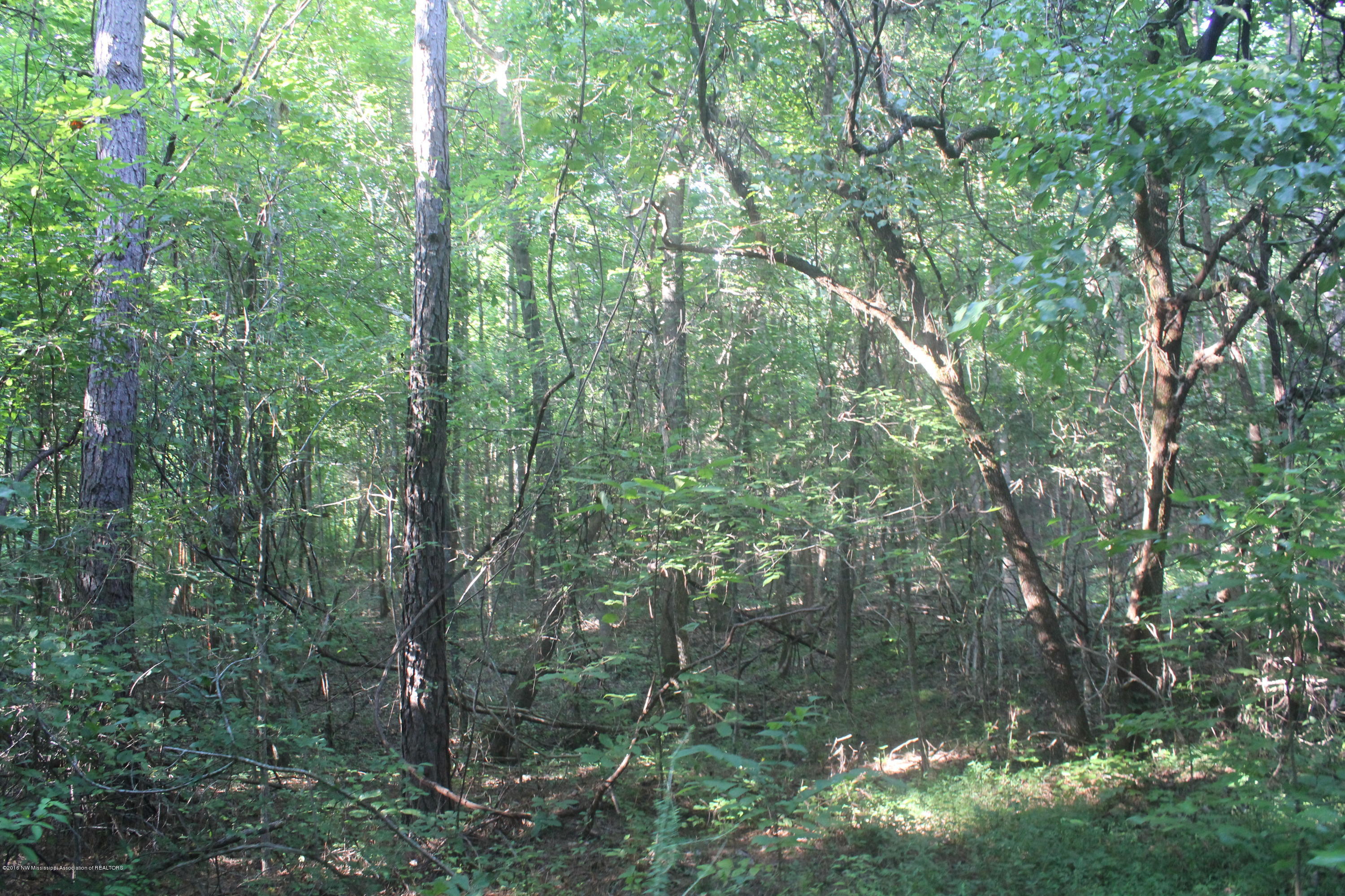 201 Colston Road Holly Springs, MS 38635 - Photo 28 of 35 097
