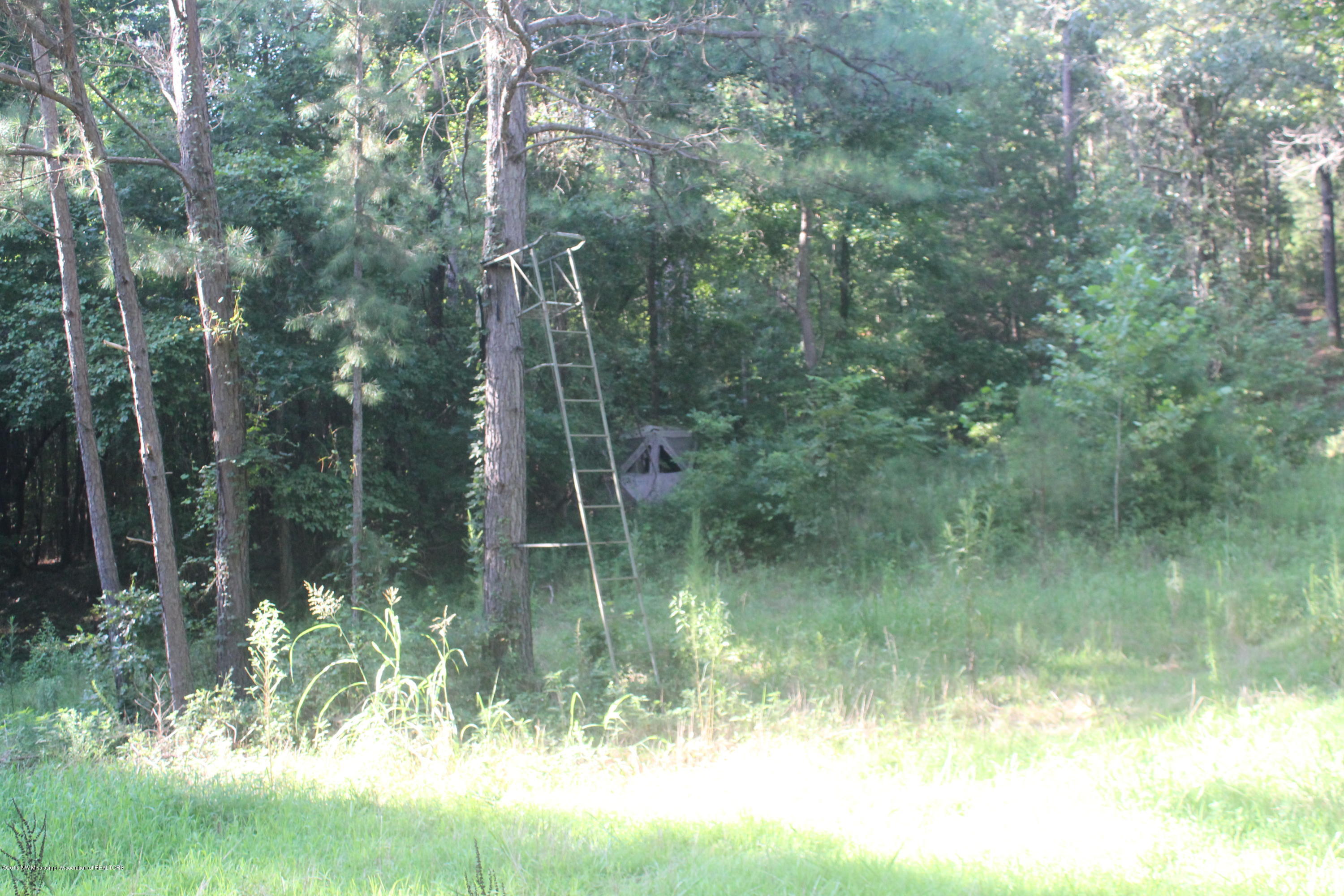 201 Colston Road Holly Springs, MS 38635 - Photo 29 of 35 099