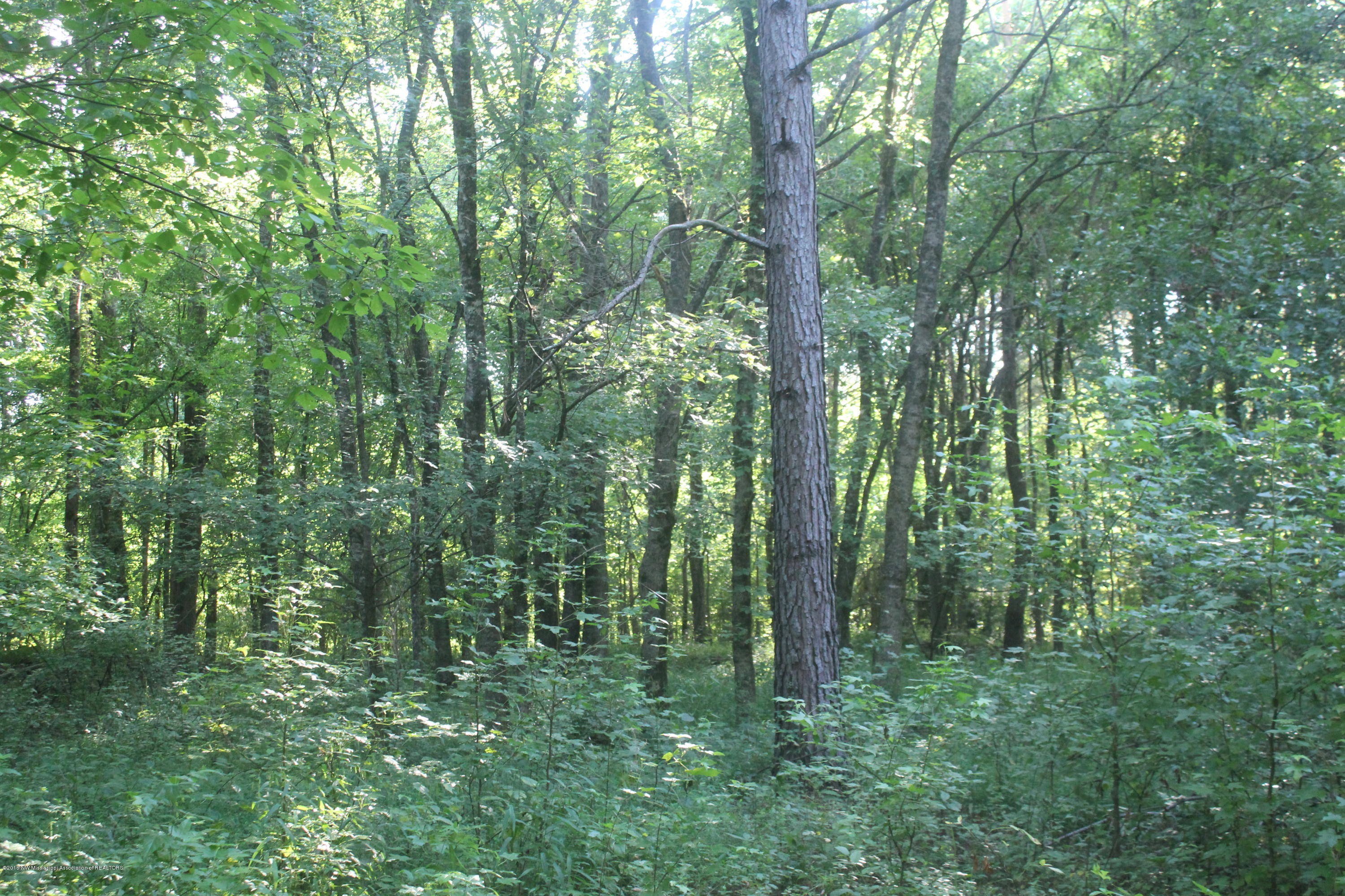 201 Colston Road Holly Springs, MS 38635 - Photo 32 of 35 108