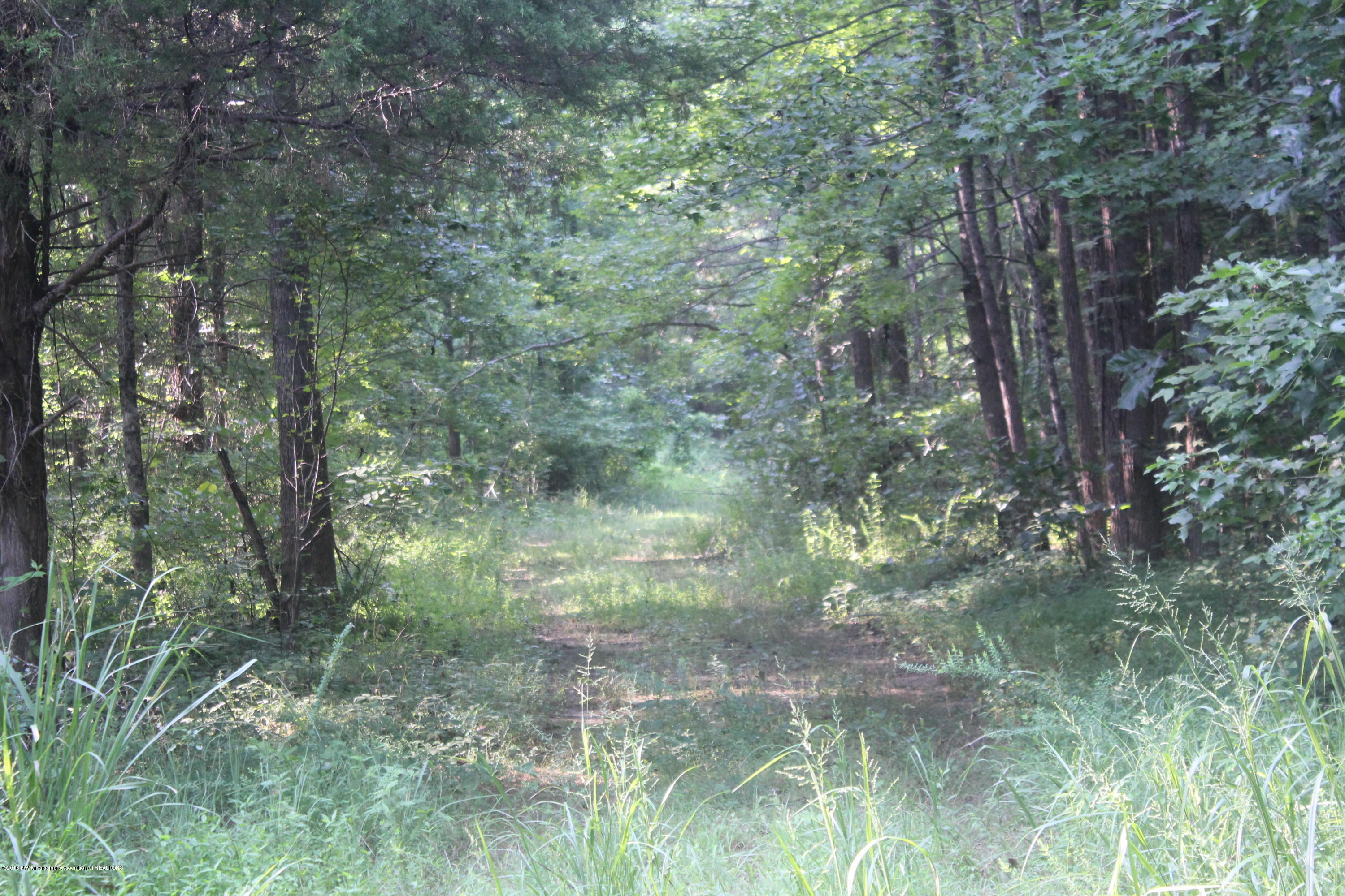 201 Colston Road Holly Springs, MS 38635 - Photo 33 of 35 109