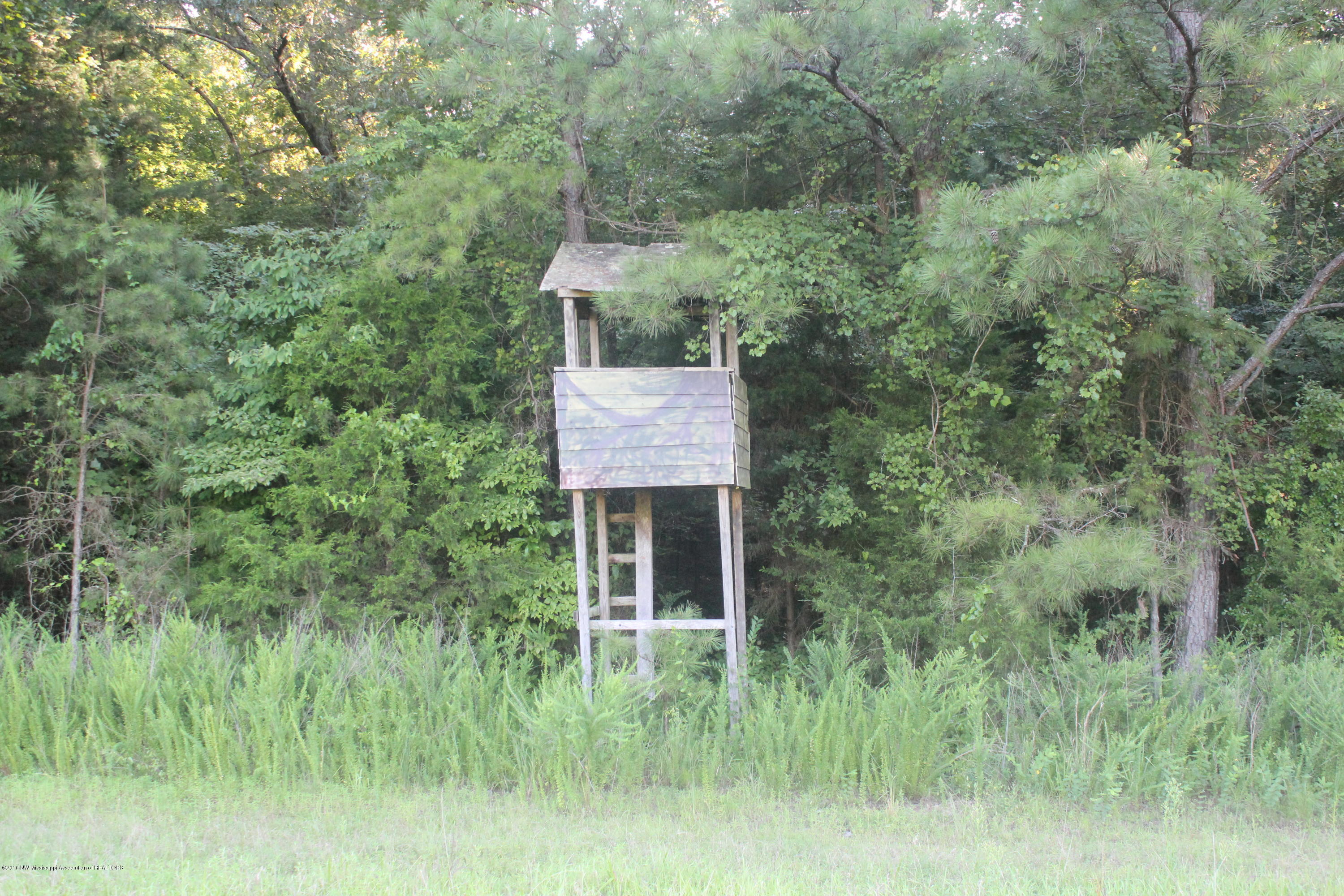 201 Colston Road Holly Springs, MS 38635 - Photo 35 of 35 111
