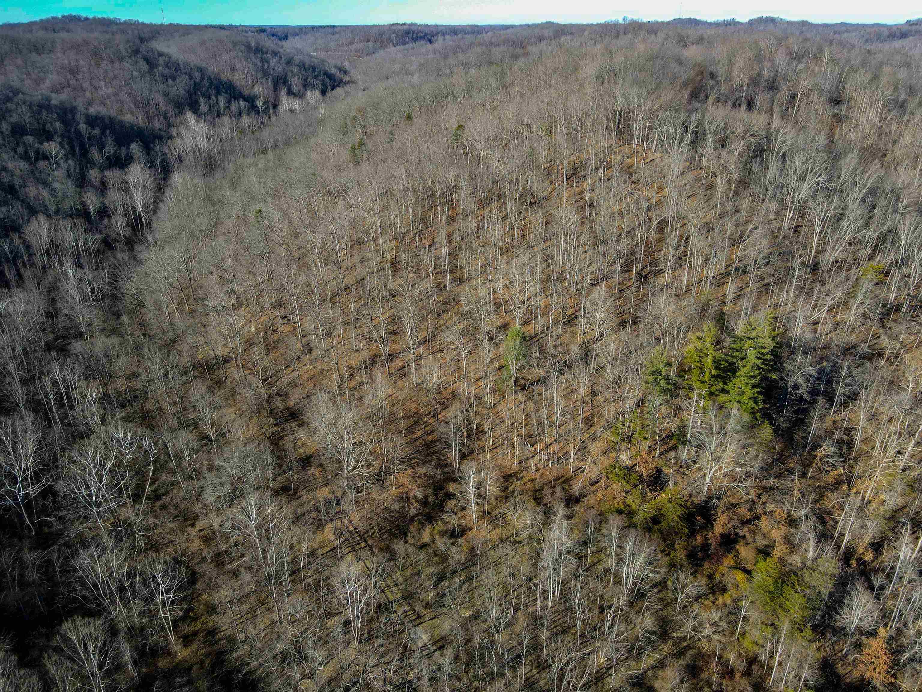 0 Dixie Road Grayson, KY 41143 - Photo 2 of 11 Gallery Image 2