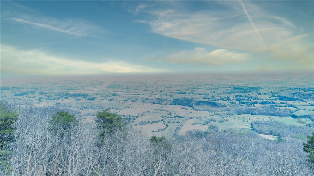 0 157th Highway Rising Fawn, GA 30738 - Photo 11 of 19