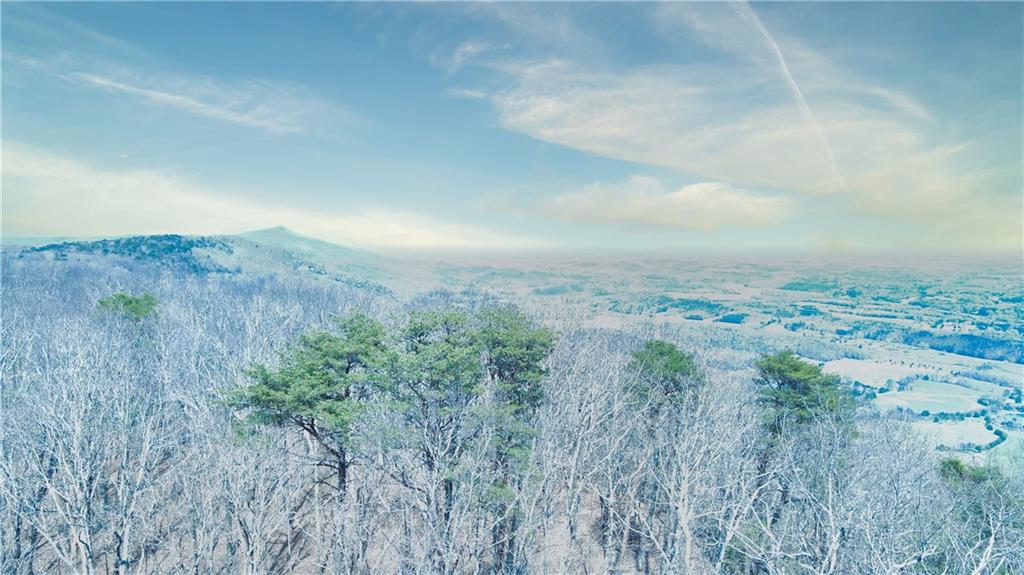 0 157th Highway Rising Fawn, GA 30738 - Photo 12 of 19