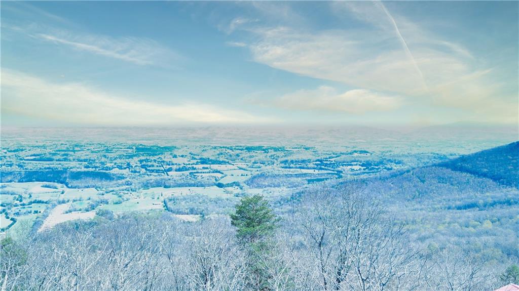 0 157th Highway Rising Fawn, GA 30738 - Photo 13 of 19